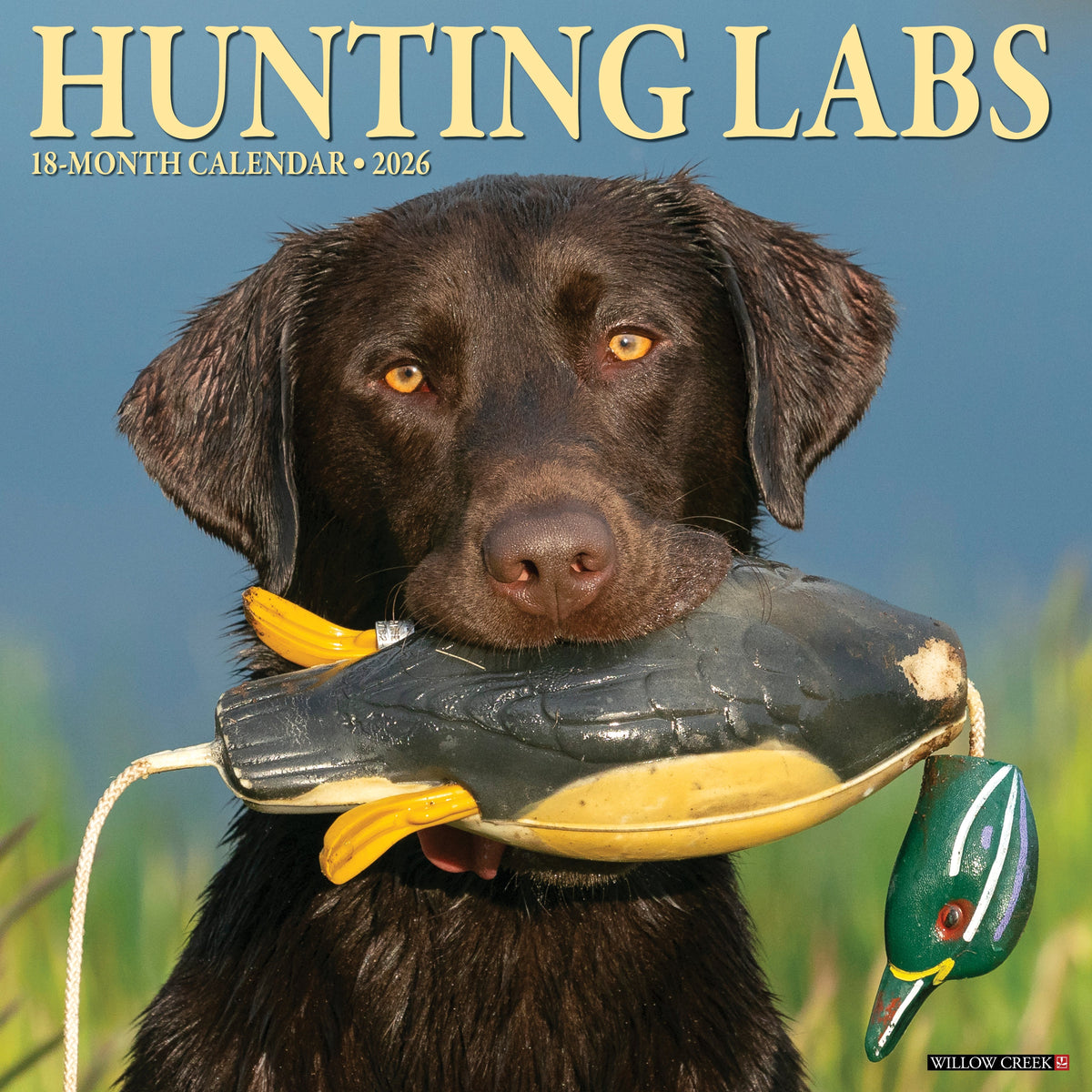 2026 Wall Calendars Page 2 Willow Creek Press 2026 Wall Calendars Page 2 Willow Creek Press