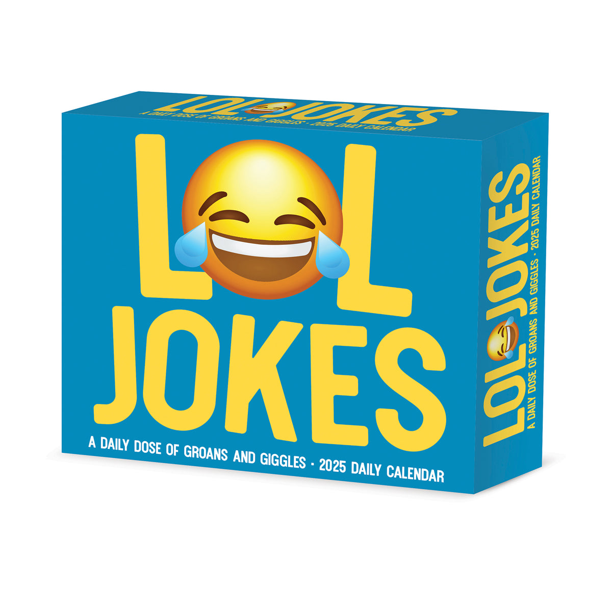 LOL Jokes 2025 Box Calendar Willow Creek Press