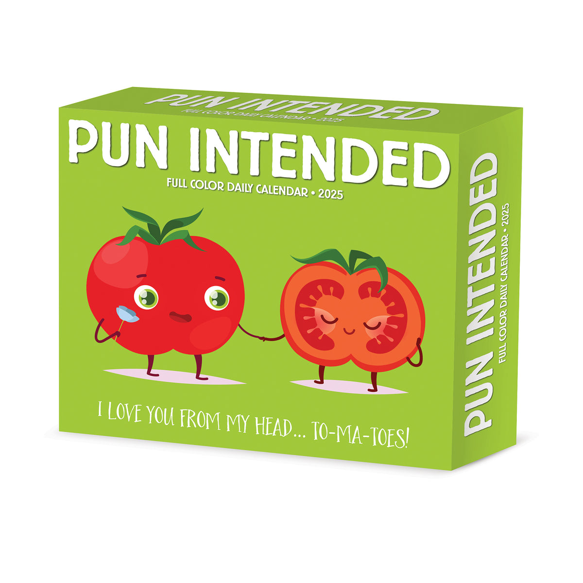 Pun Intended 2025 Box Calendar Willow Creek Press