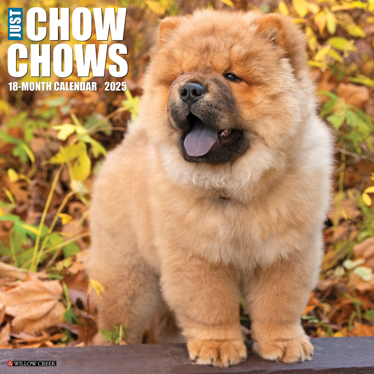 Chow Chows 2025 Wall Calendar Willow Creek Press