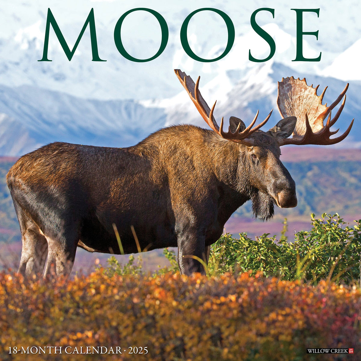 moose-2025-wall-calendar-willow-creek-press