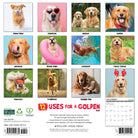 Dog lovers’ 2026 Wall Calendar – 12 Uses for a Golden retriever edition