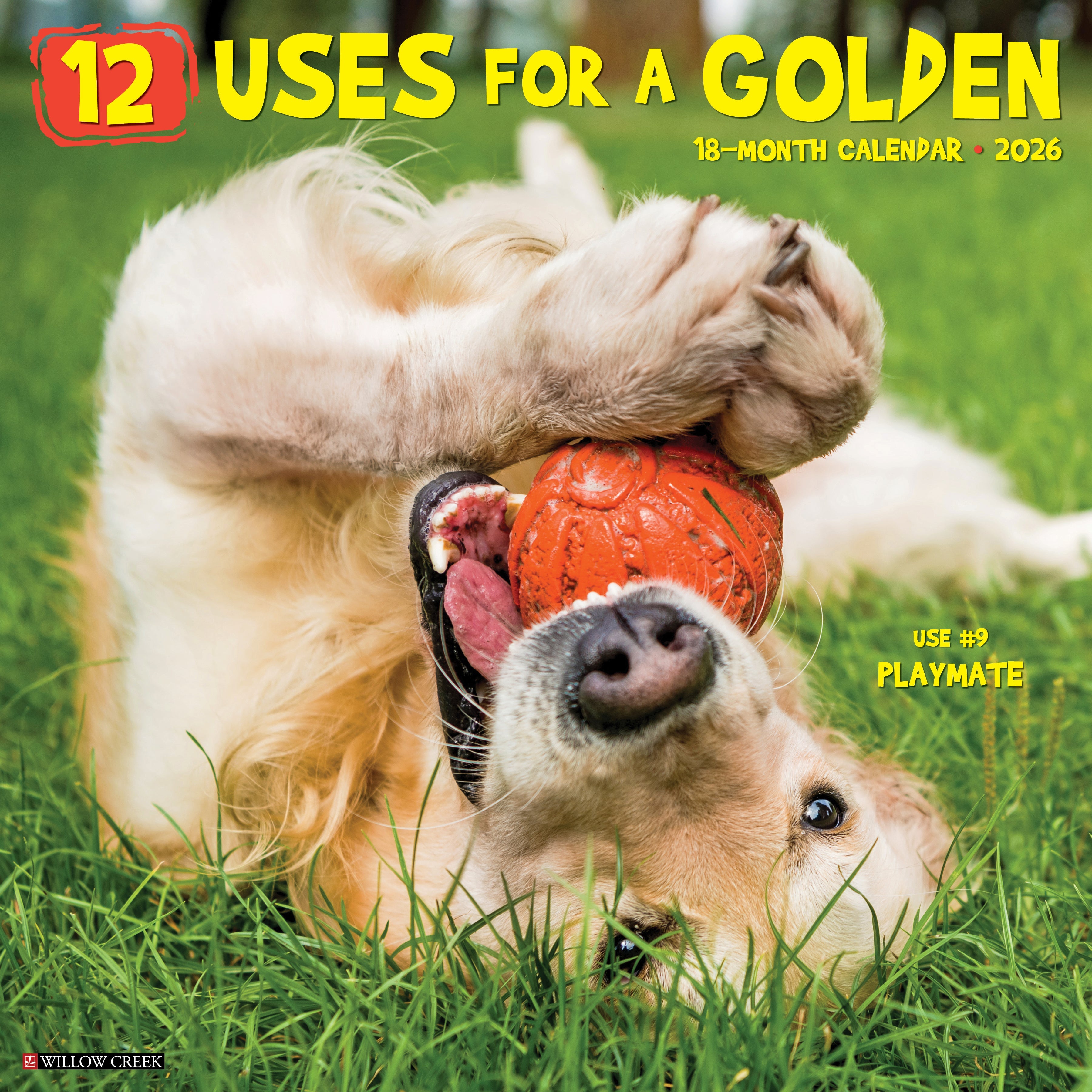 12 Uses for a Golden 2026 Wall Calendar with monthly golden retriever photos