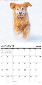 2026 Wall Calendar with large monthly date boxes, decorative images, and holidays, perfect for office or home organization and yearly planning