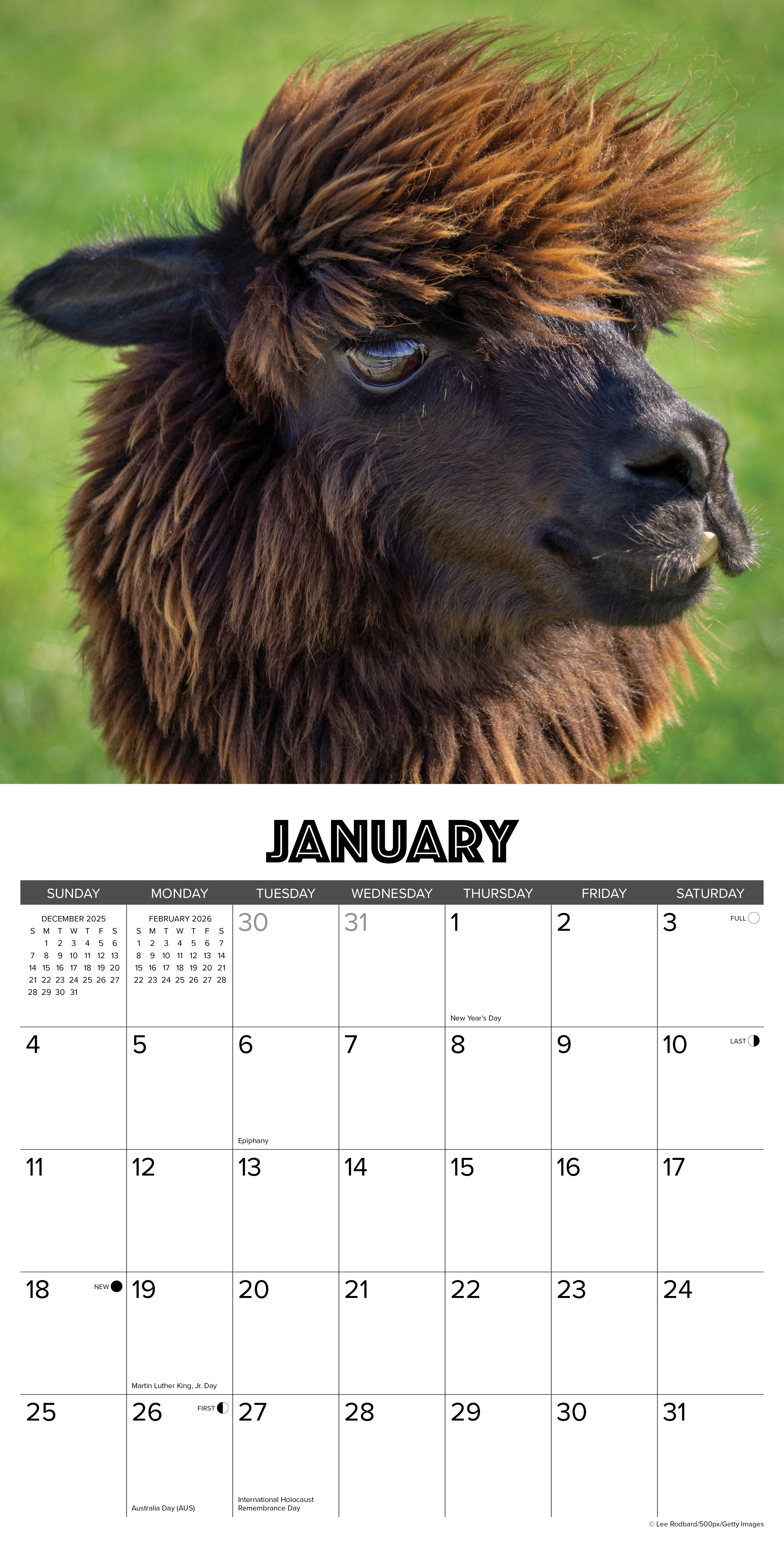 2026 Wall Calendar with large monthly date boxes, decorative images, and holidays, perfect for office or home organization and yearly planning
