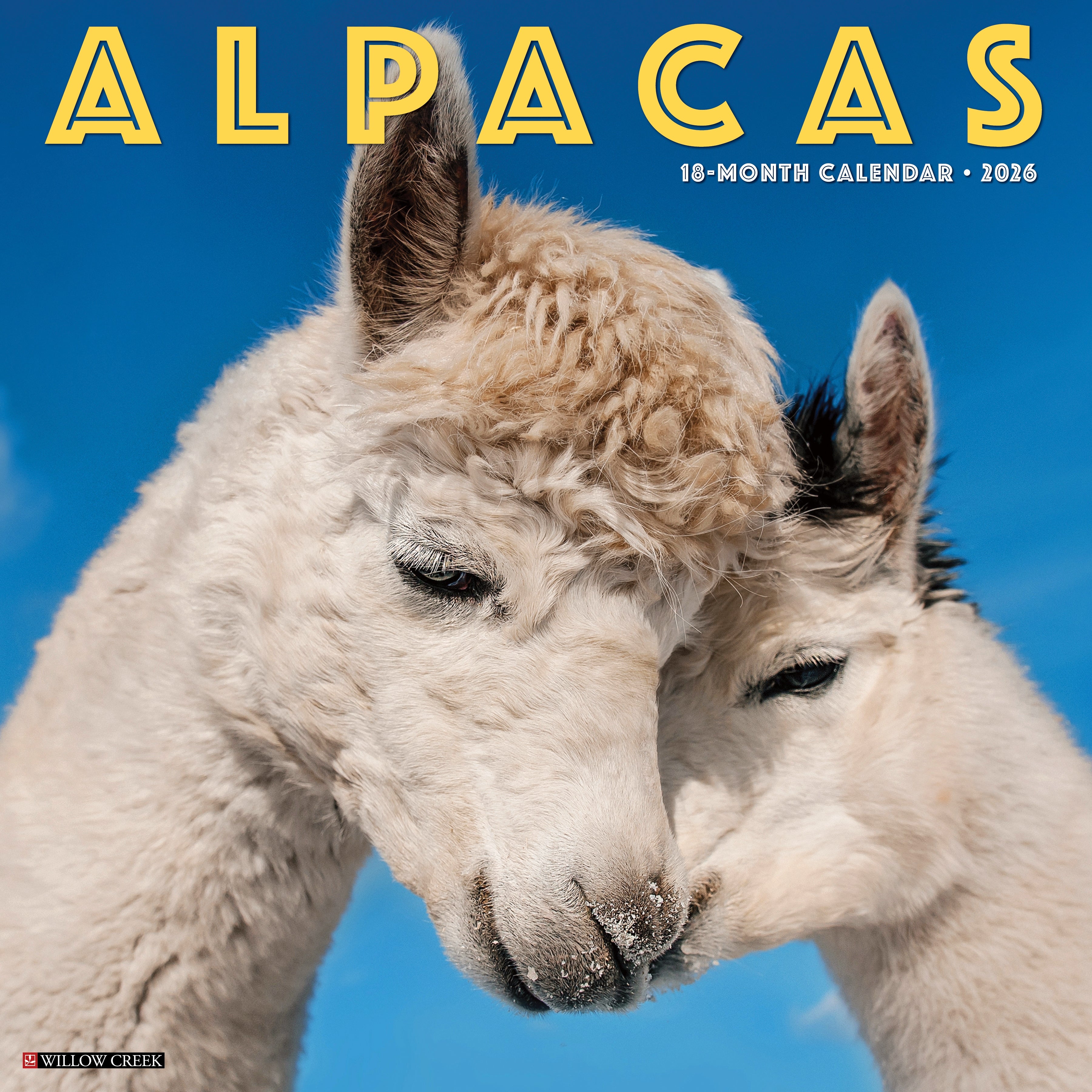 Alpacas 2026 Wall Calendar featuring adorable alpaca photos