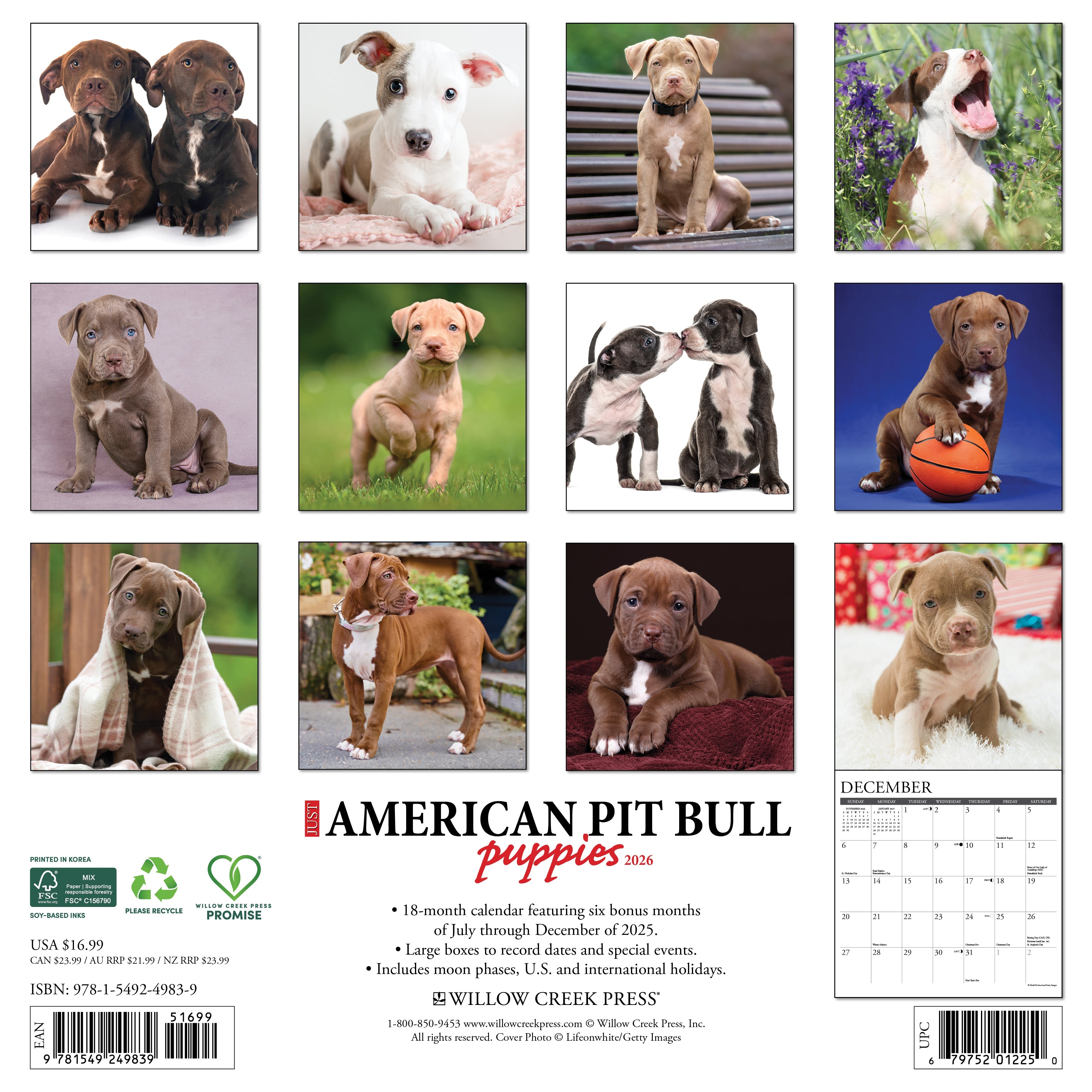 Pit Bull Terrier puppy themed 12"x12" 2026 wall calendar for dog lovers