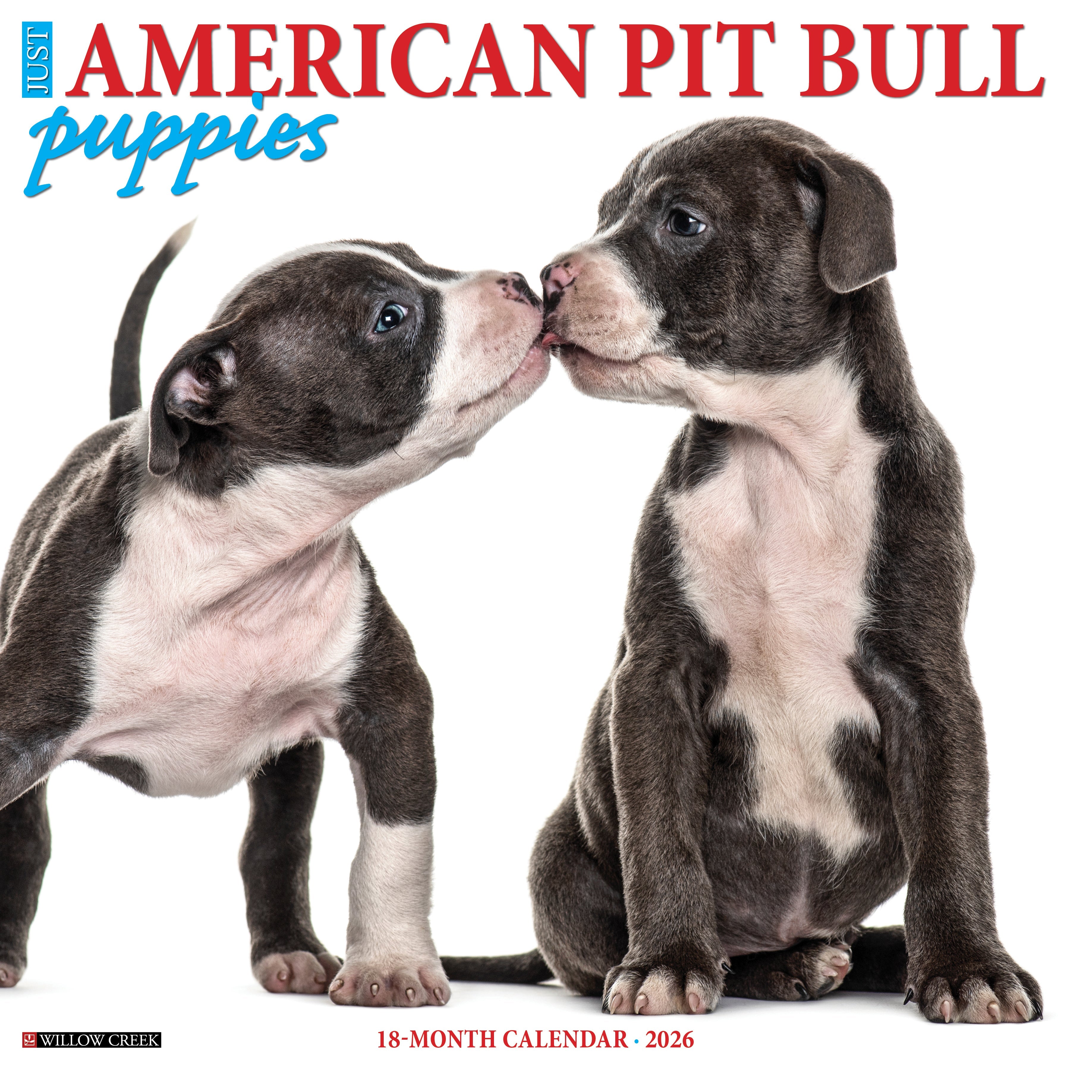 12x12 2026 wall calendar featuring cute Pit Bull Terrier puppies