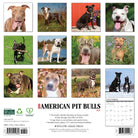 Dog lovers’ 2026 Wall Calendar – American Pit Bull Terriers edition with cute canine images