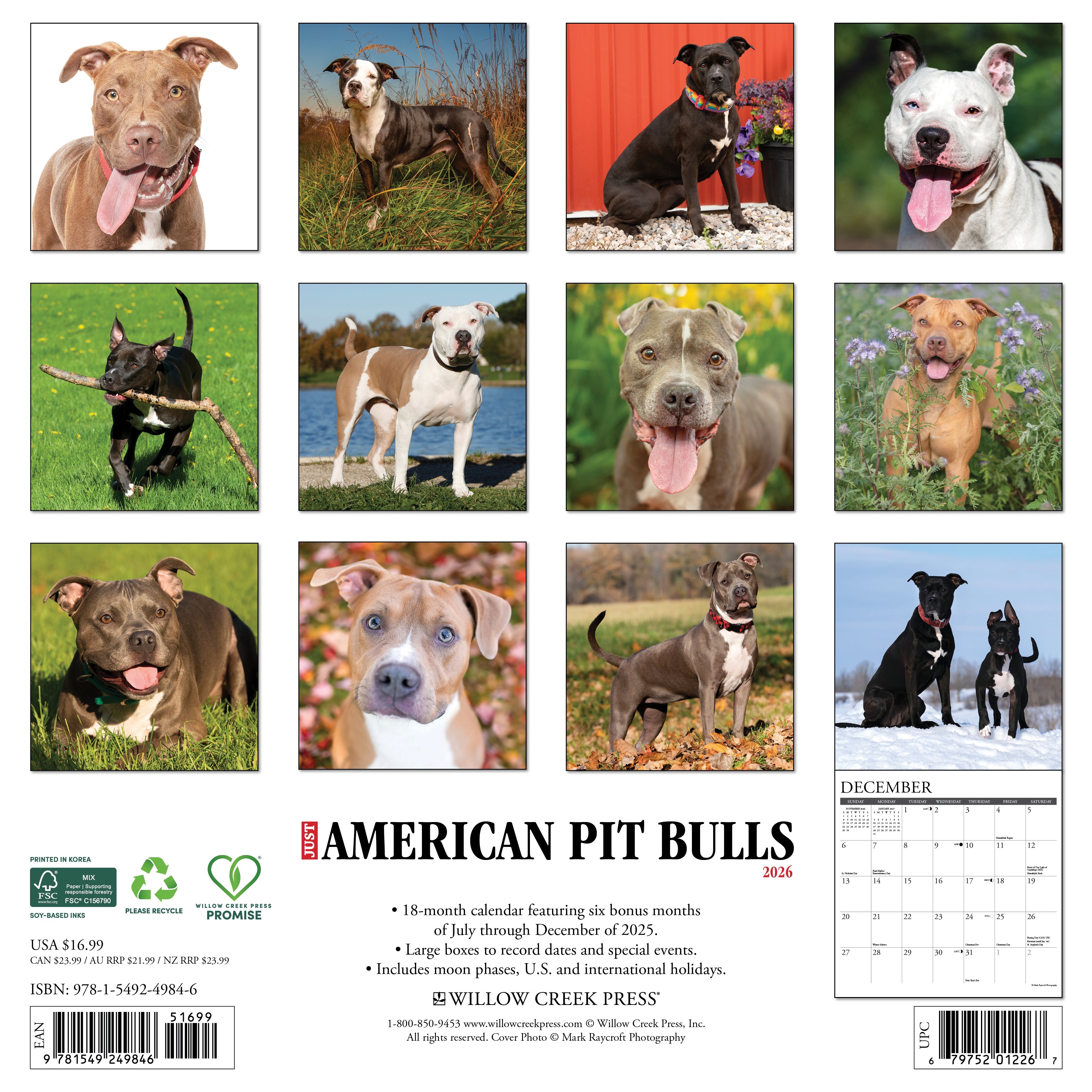 Dog lovers’ 2026 Wall Calendar – American Pit Bull Terriers edition with cute canine images