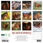 Equestrian-themed 2026 Wall Calendar – American Quarter Horses edition with stunning horse images