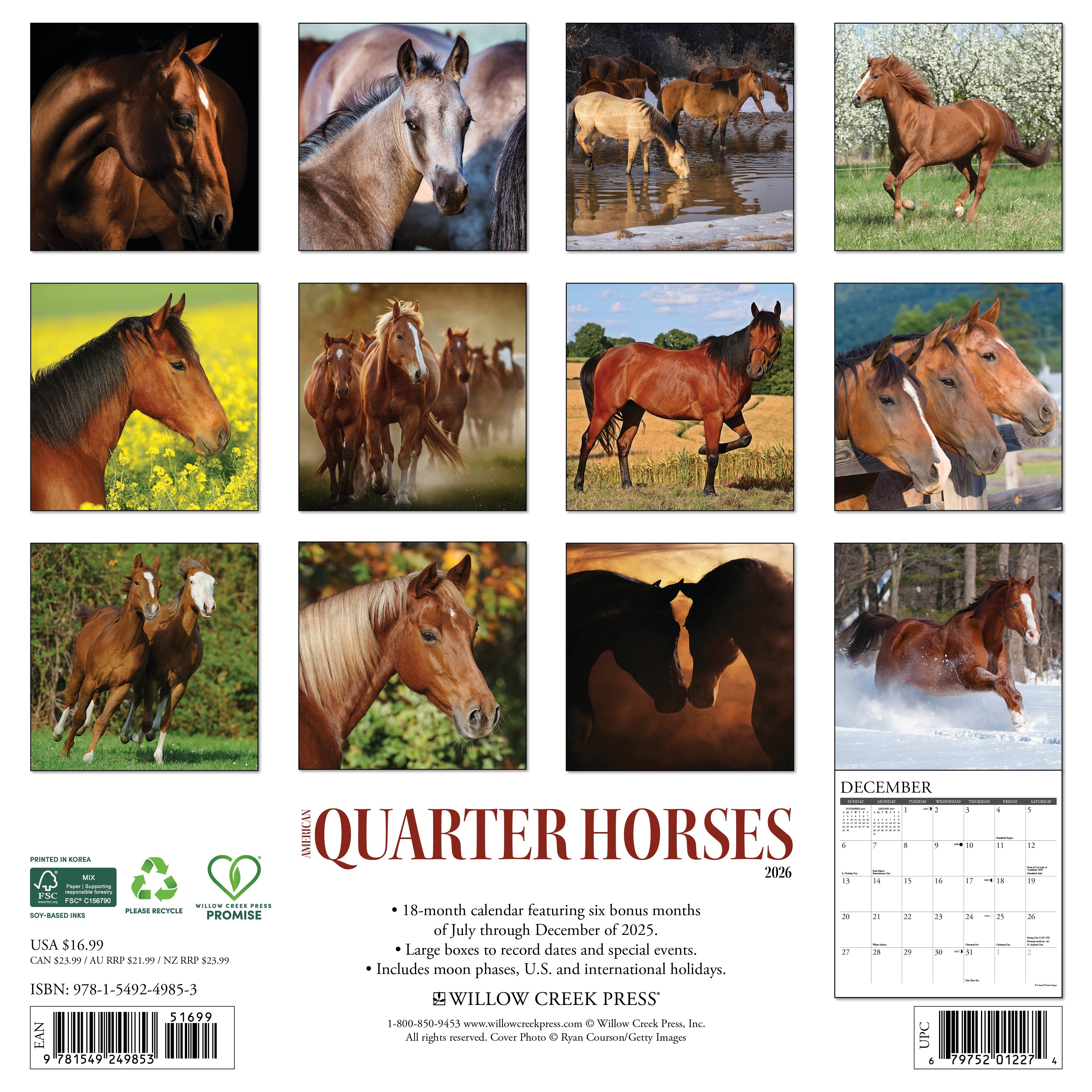 Equestrian-themed 2026 Wall Calendar – American Quarter Horses edition with stunning horse images