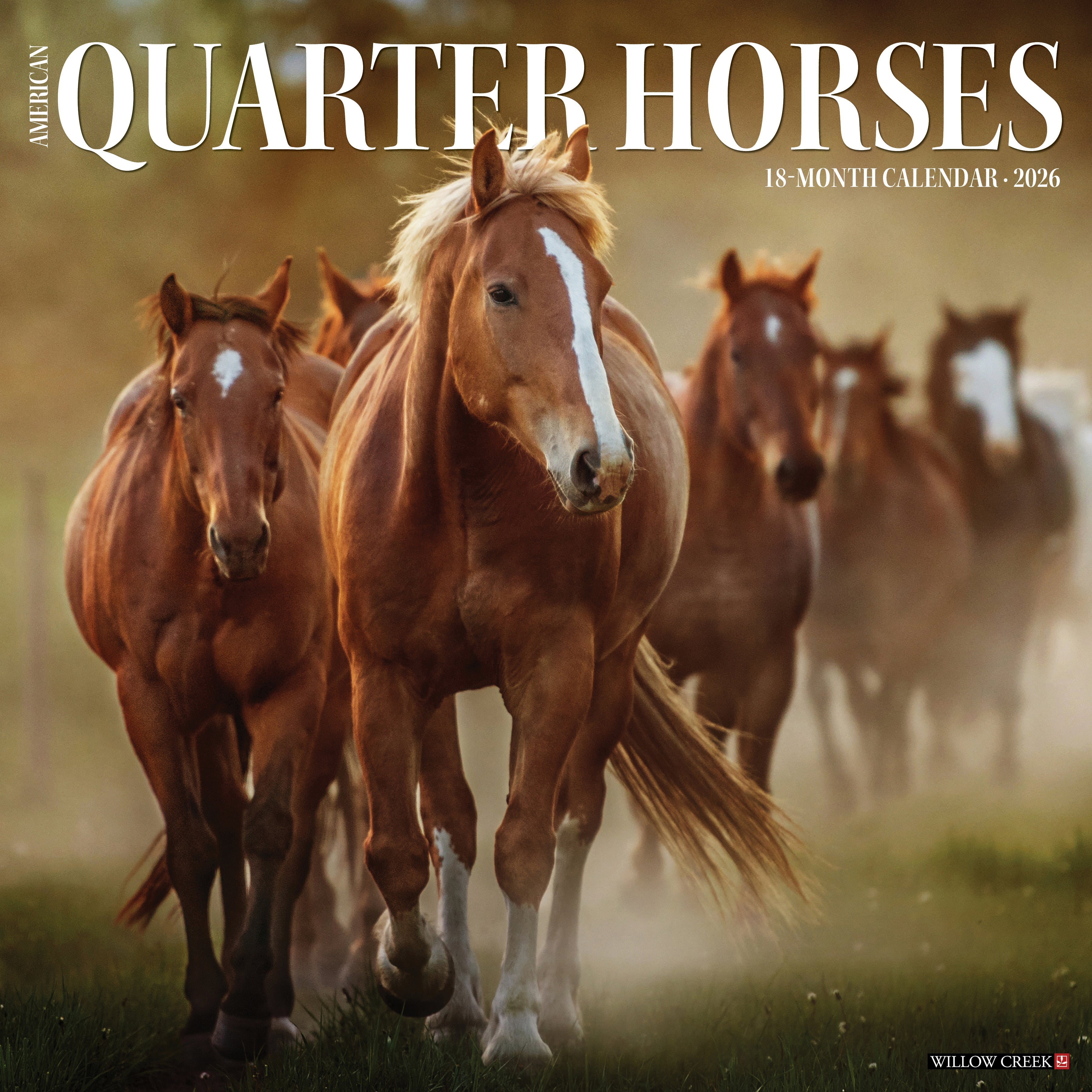 American Quarter Horses 2026 Wall Calendar featuring majestic horse photography