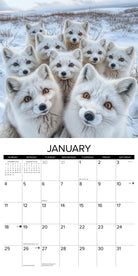 2026 Wall Calendar with large monthly date boxes, decorative images, and holidays, perfect for office or home organization and yearly planning