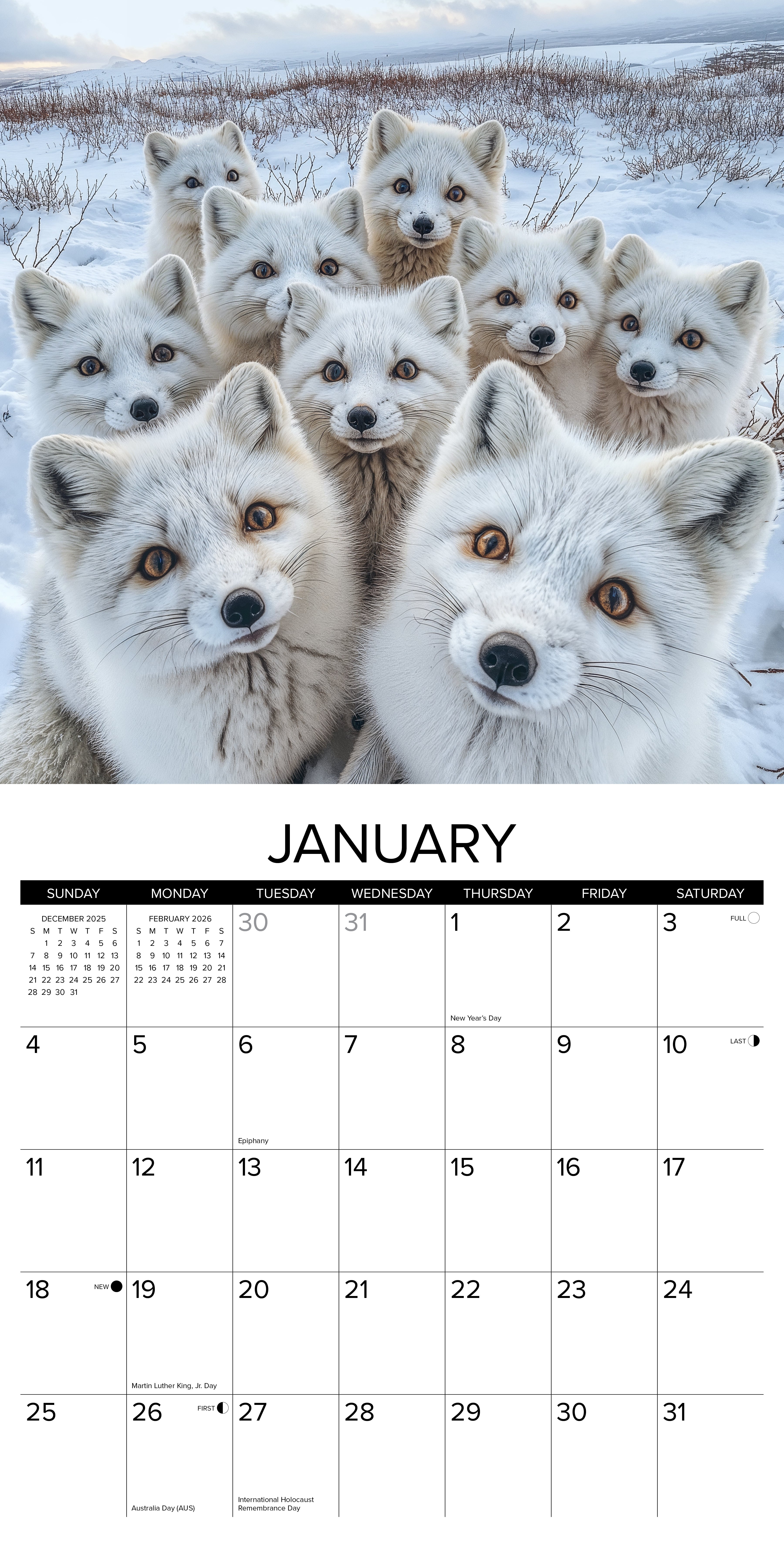 2026 Wall Calendar with large monthly date boxes, decorative images, and holidays, perfect for office or home organization and yearly planning
