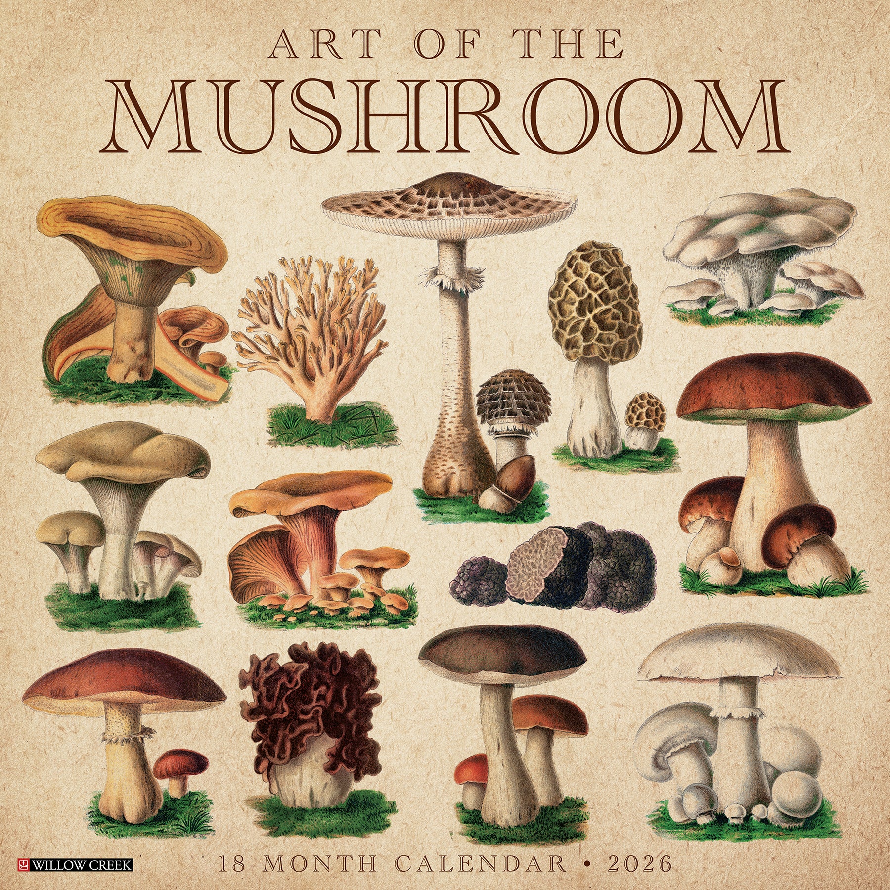 Art of the Mushroom 2026 wall calendar, 12x12 inches with mushroom photography