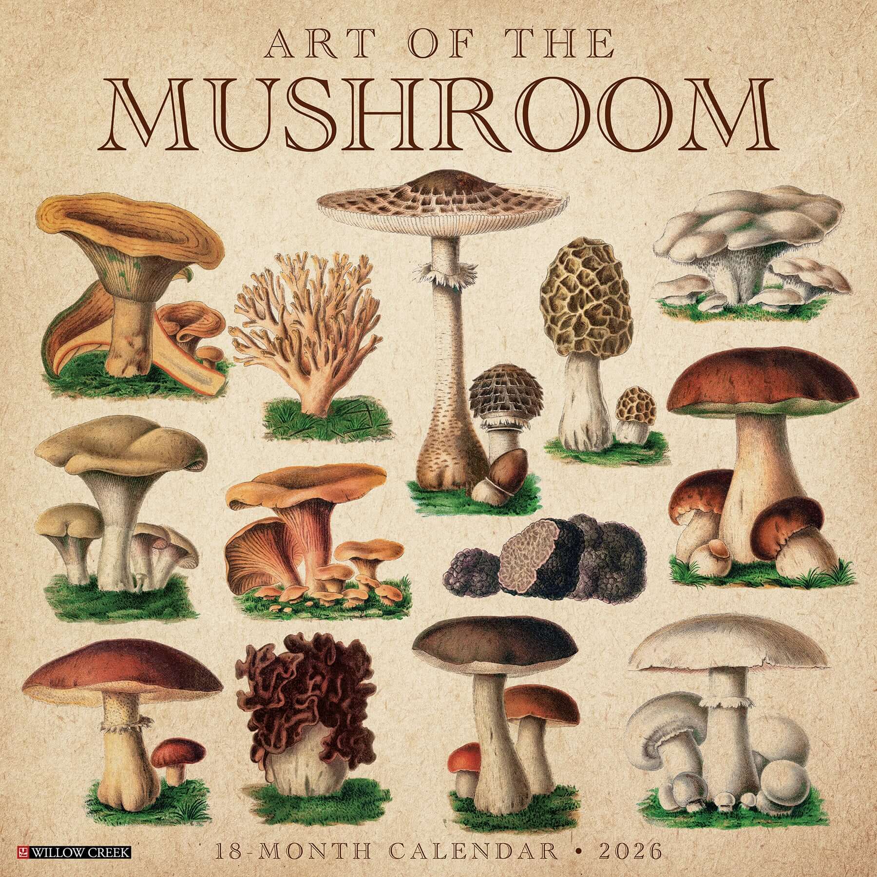 Art of the Mushroom 2026 wall calendar, 12x12 inches with mushroom photography