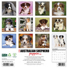 Dog lovers’ 2026 Wall Calendar – Australian Shepherd Puppies edition with playful and cute puppy images