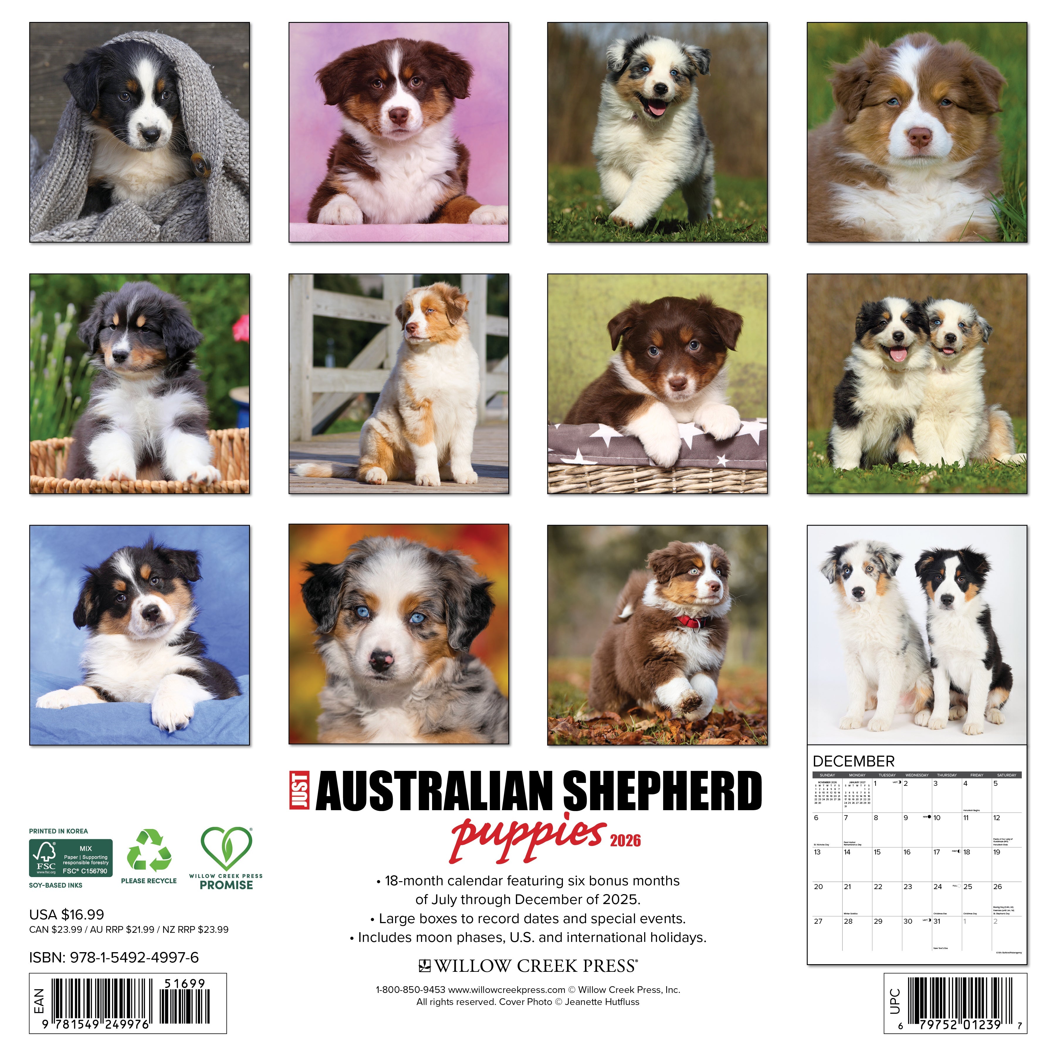 Dog lovers’ 2026 Wall Calendar – Australian Shepherd Puppies edition with playful and cute puppy images