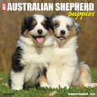 Australian Shepherd Puppies 2026 Wall Calendar featuring adorable puppy photography