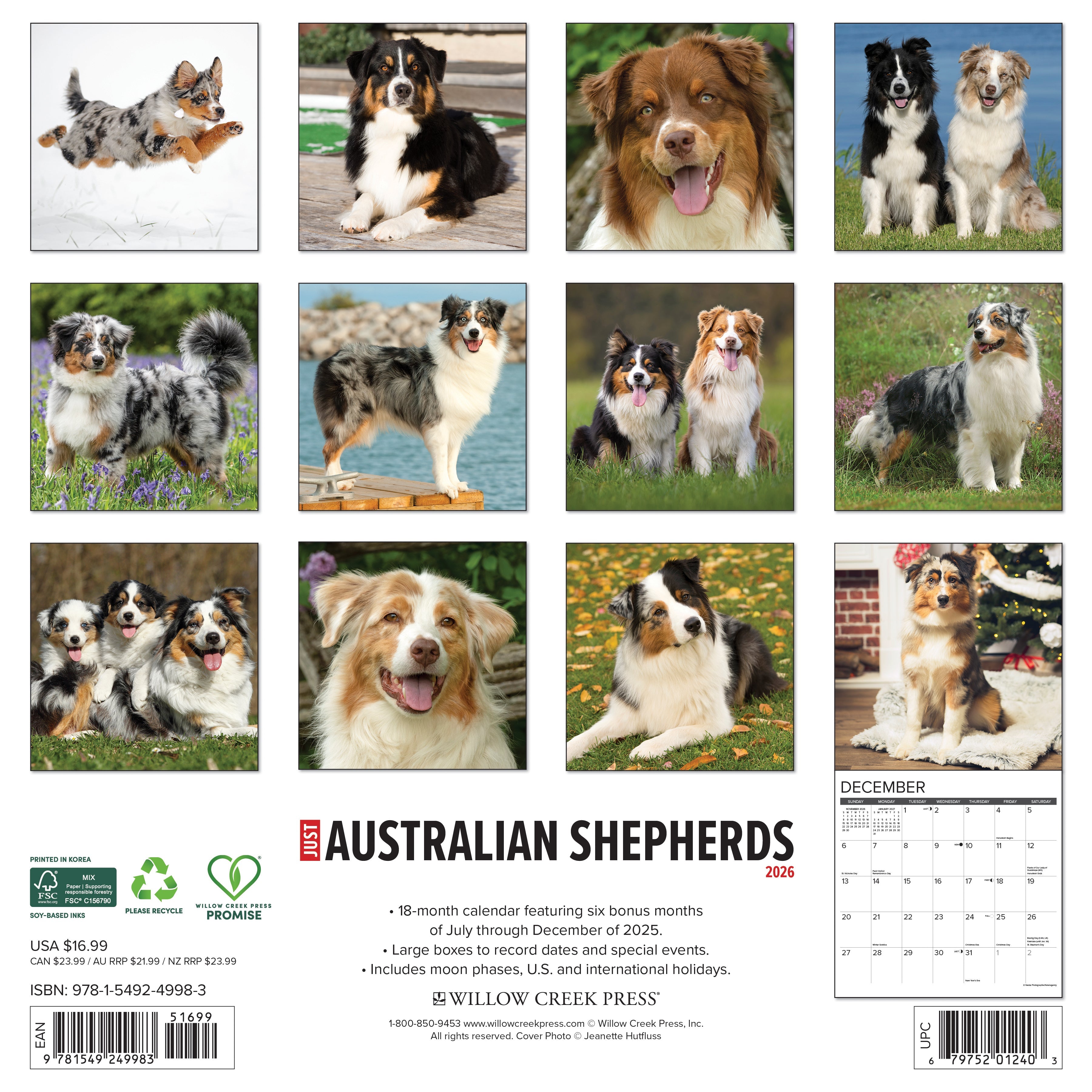 Dog lovers’ 2026 Wall Calendar – Australian Shepherds edition with playful and loyal dogs