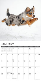 2026 Wall Calendar with large monthly date boxes, decorative images, and holidays, perfect for office or home organization and yearly planning