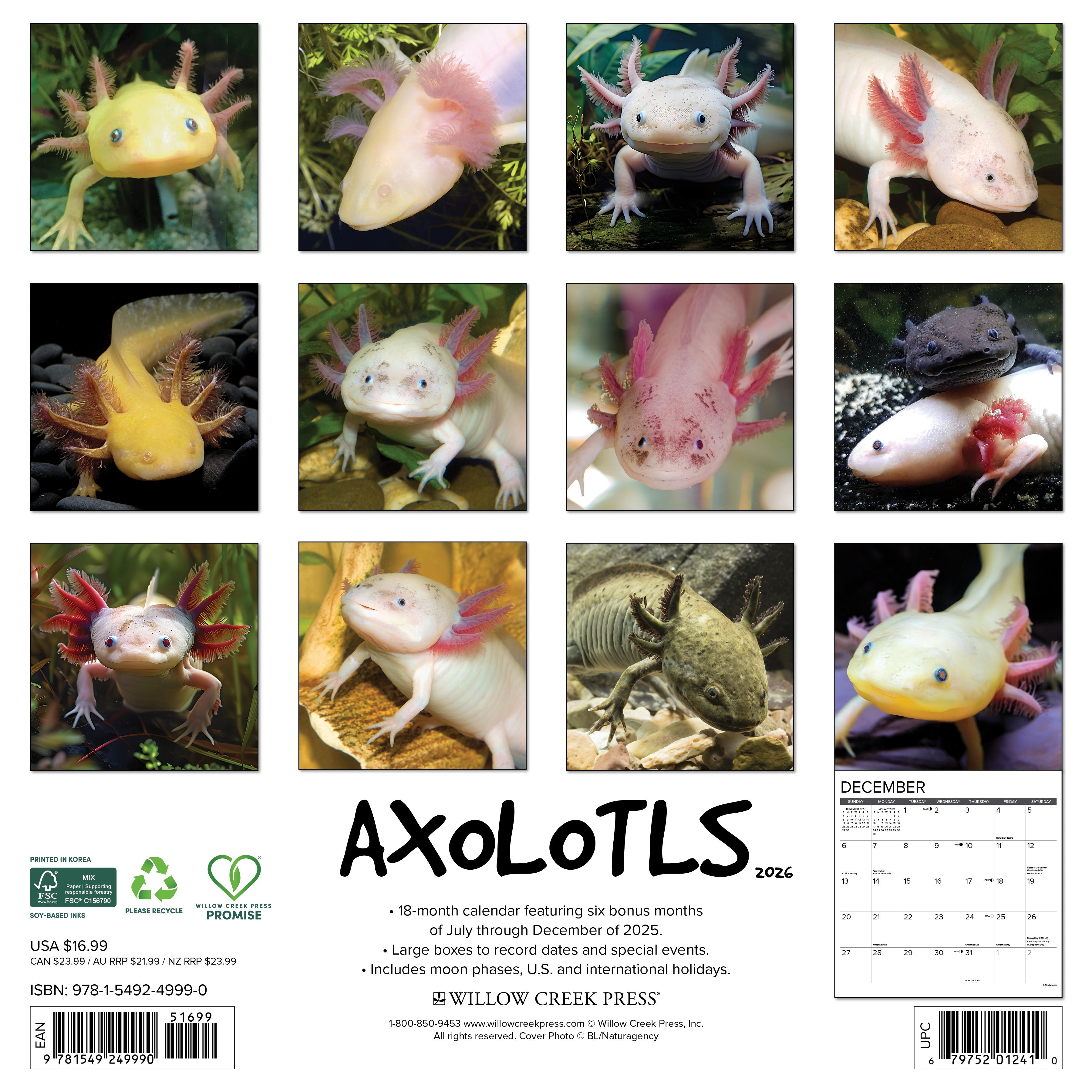 Pet lovers’ 2026 Wall Calendar – Axolotls edition with cute and colorful images