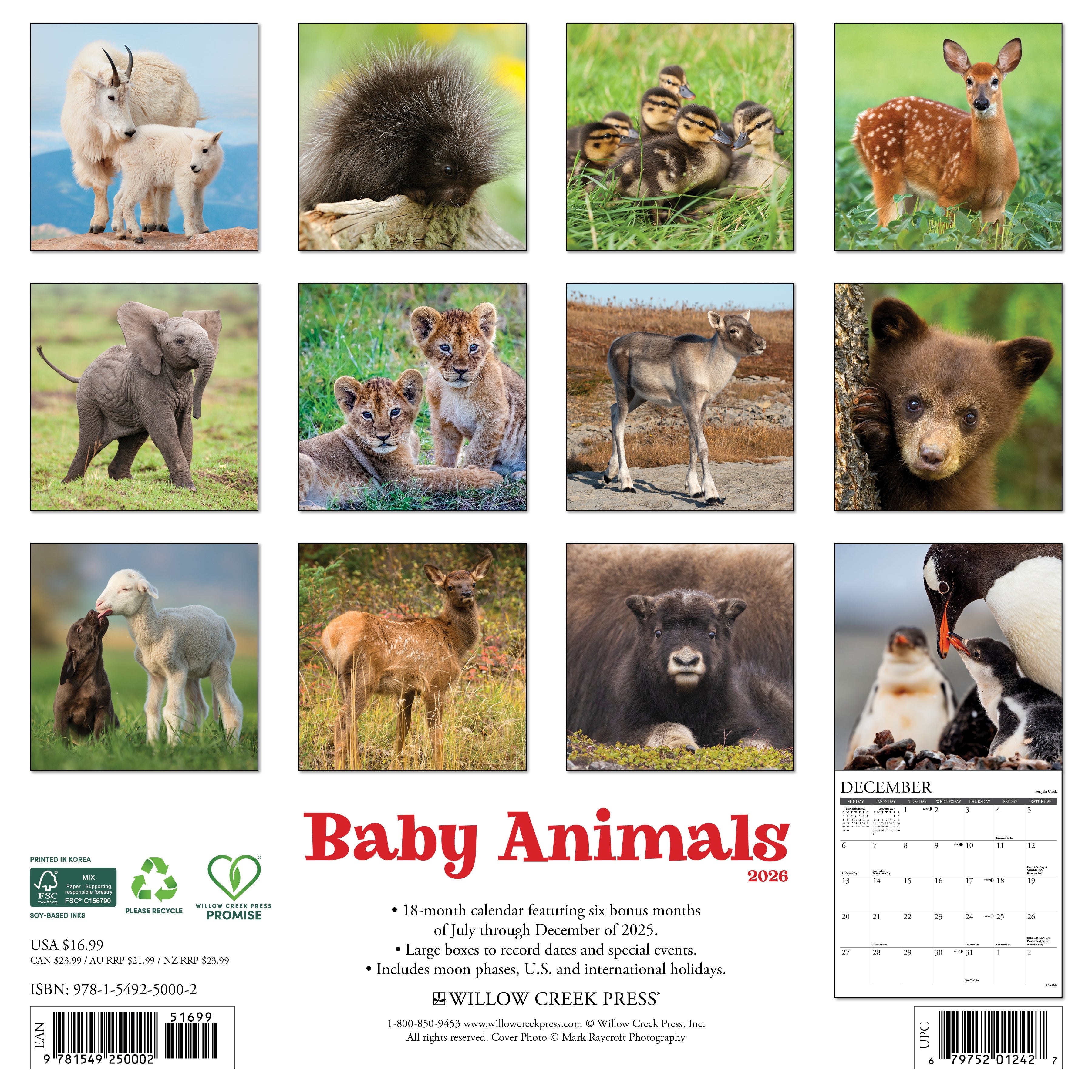 baby animals 2026 wall calendar  12" x 12" Wall Calendar featuring adorable baby animals from around the world.