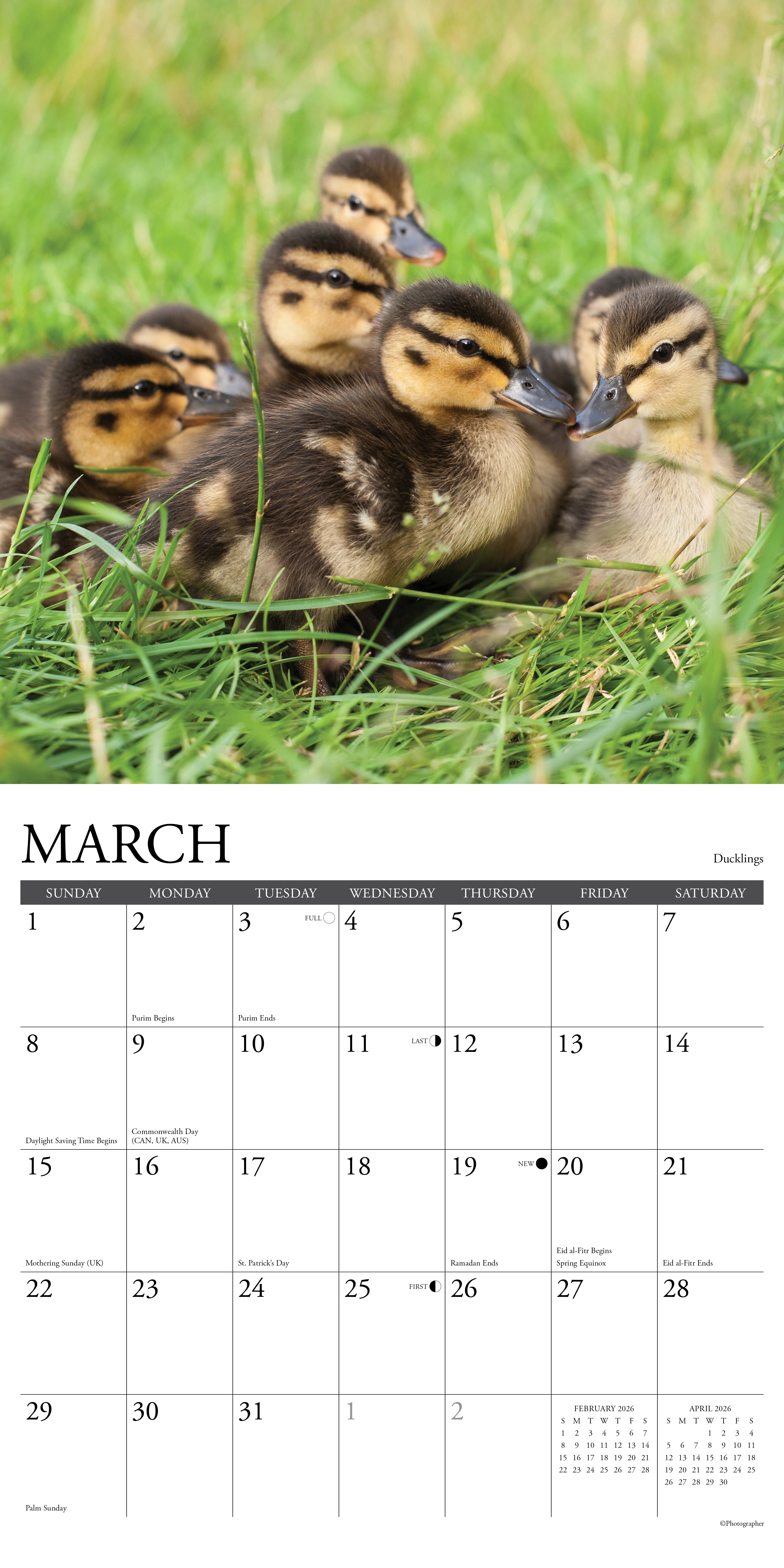 Baby animals 2026 wall calendar 2026 for March featuring a group of adorable ducklings on green grass.