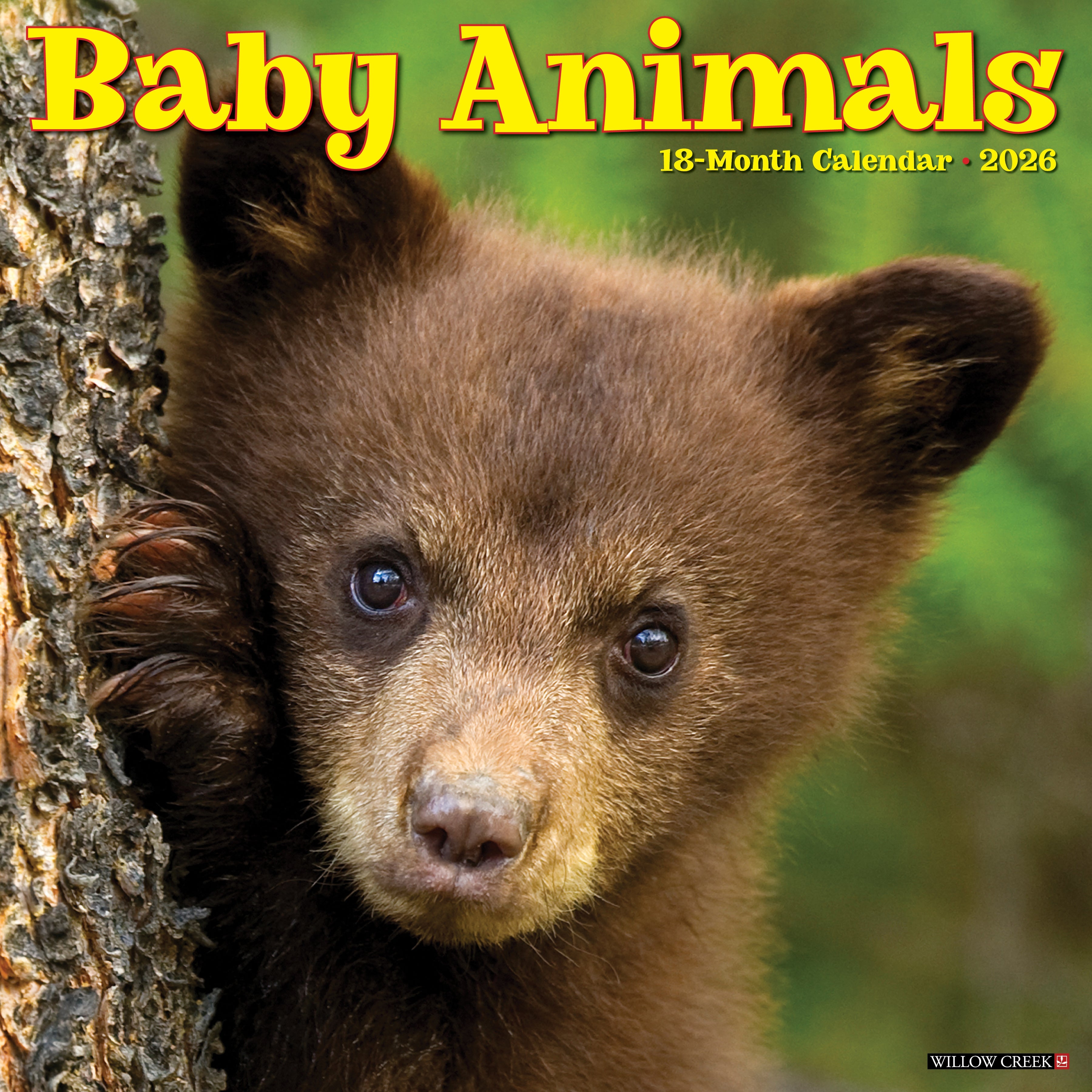 Baby Animals 2026 wall calendar featuring a cute baby bear, perfect for animal lovers.