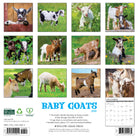 2026 Wall Calendar featuring adorable baby goats in playful and charming poses for goat lovers.