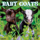 Baby Goats 12" x 12" 2026 Wall Calendar showcasing adorable baby goats in a vibrant green meadow.