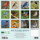 Backyard Birds 2026 Wall Calendar featuring colorful bird portraits and monthly planning layout.