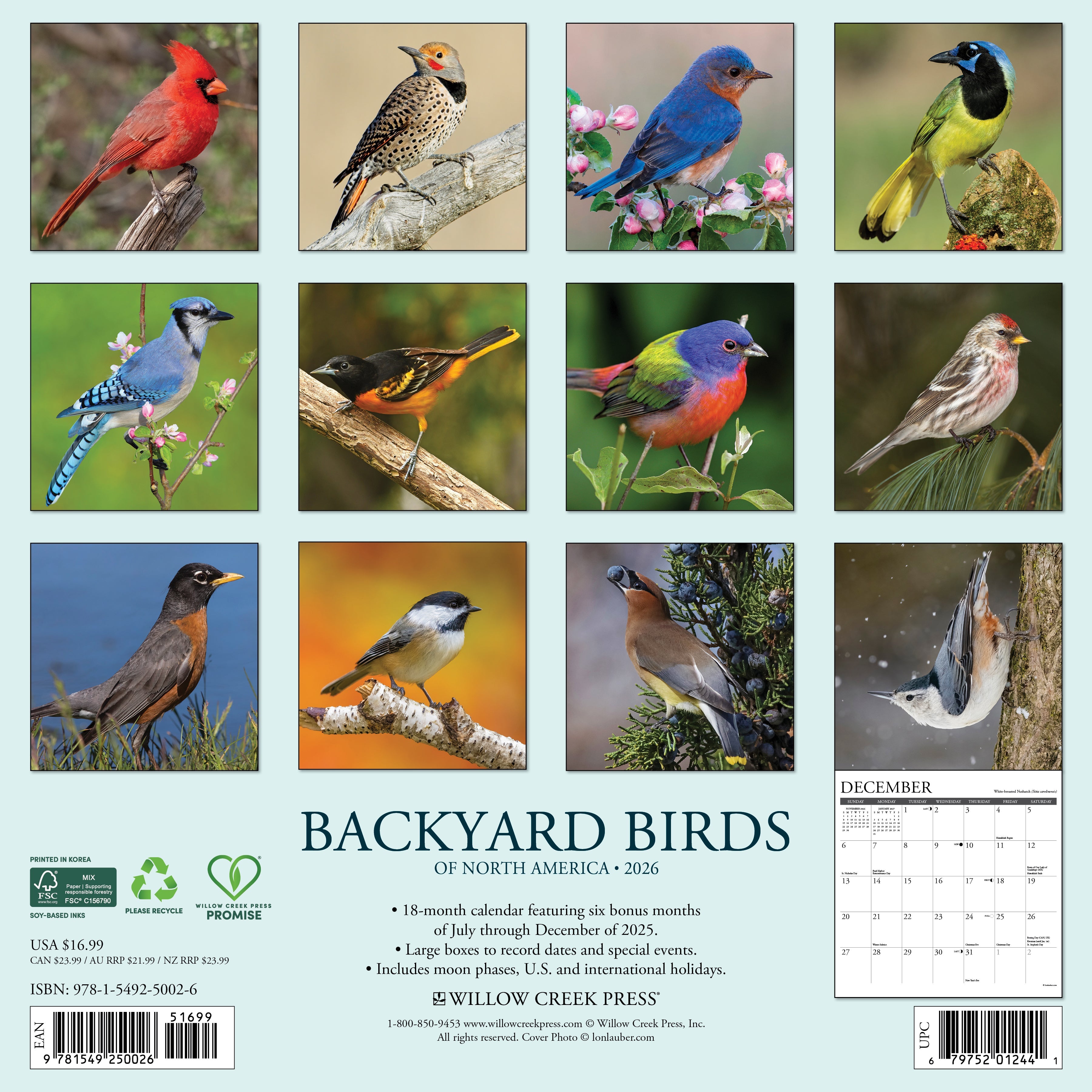 Backyard Birds 2026 Wall Calendar featuring colorful bird portraits and monthly planning layout.