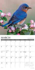 2026 Wall Calendar featuring an Eastern Bluebird perched on flowering branches for the month of March.