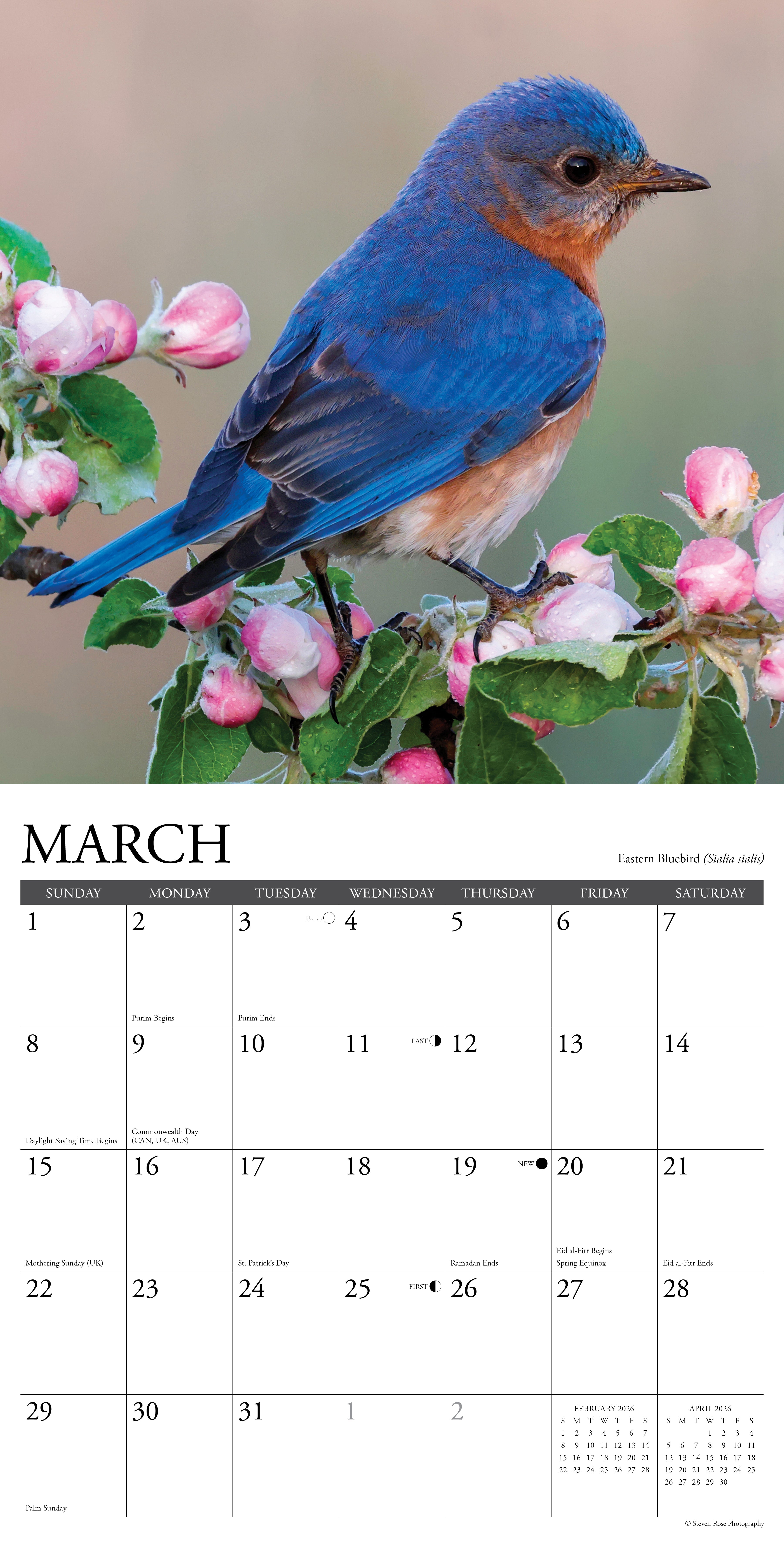 2026 Wall Calendar featuring an Eastern Bluebird perched on flowering branches for the month of March.