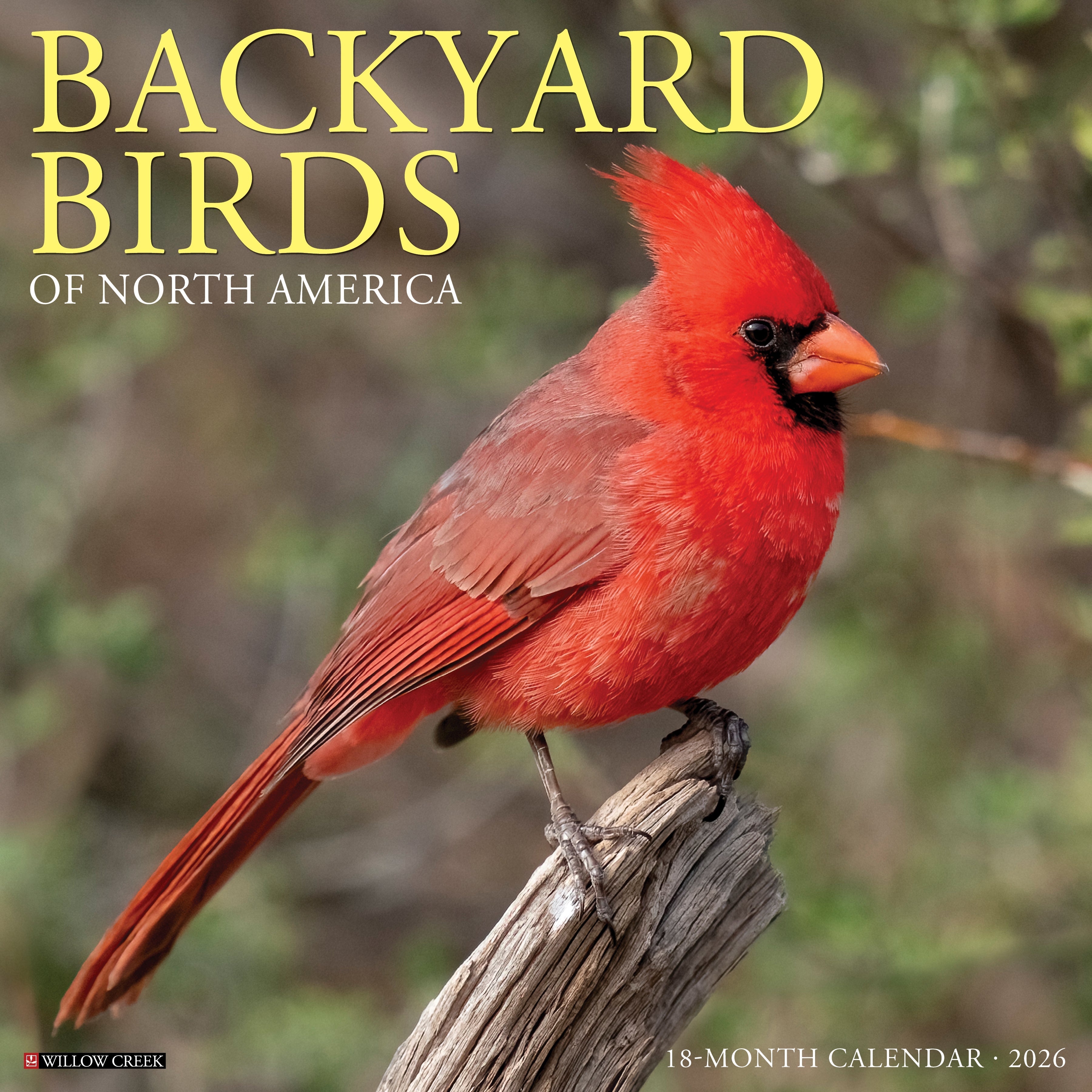 2026 Wall Calendar featuring a vibrant red cardinal on a wooden post in a nature setting.