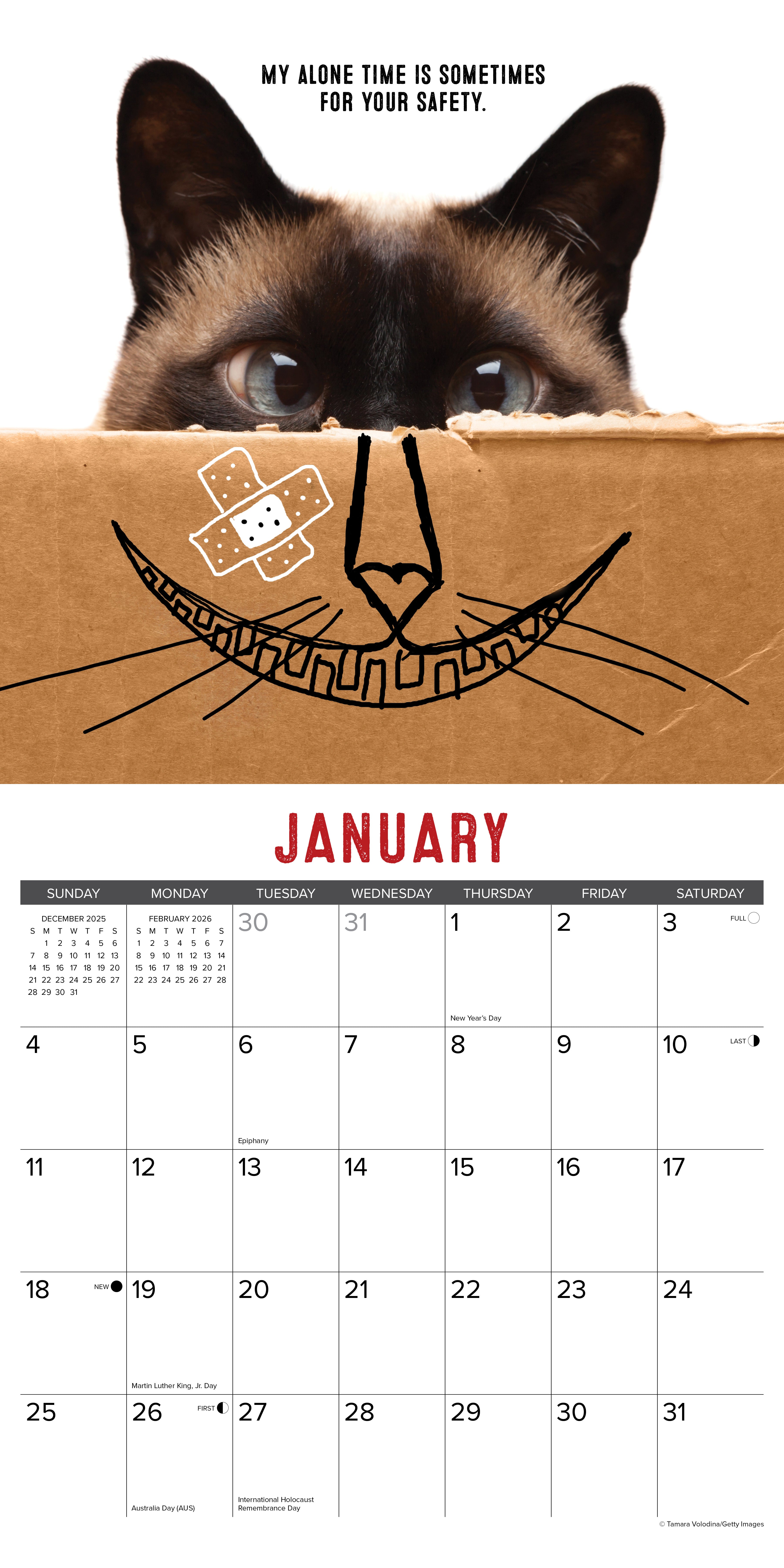 Humorous Bad Kitties 2026 Wall Calendar January page featuring a playful cat peeking from a box.