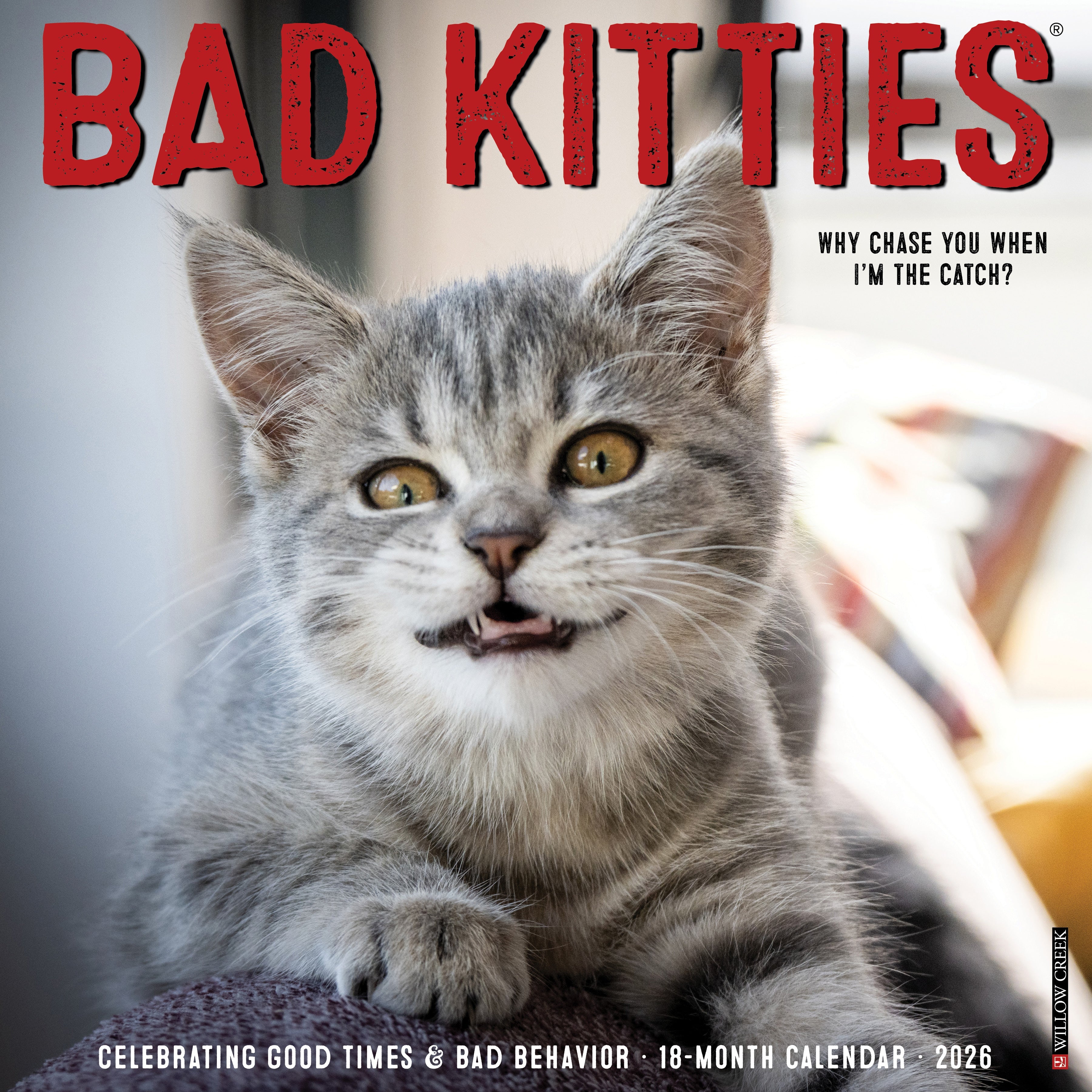 Bad Kitties 2026 Wall Calendar featuring a playful cat with a witty caption for cat lovers.