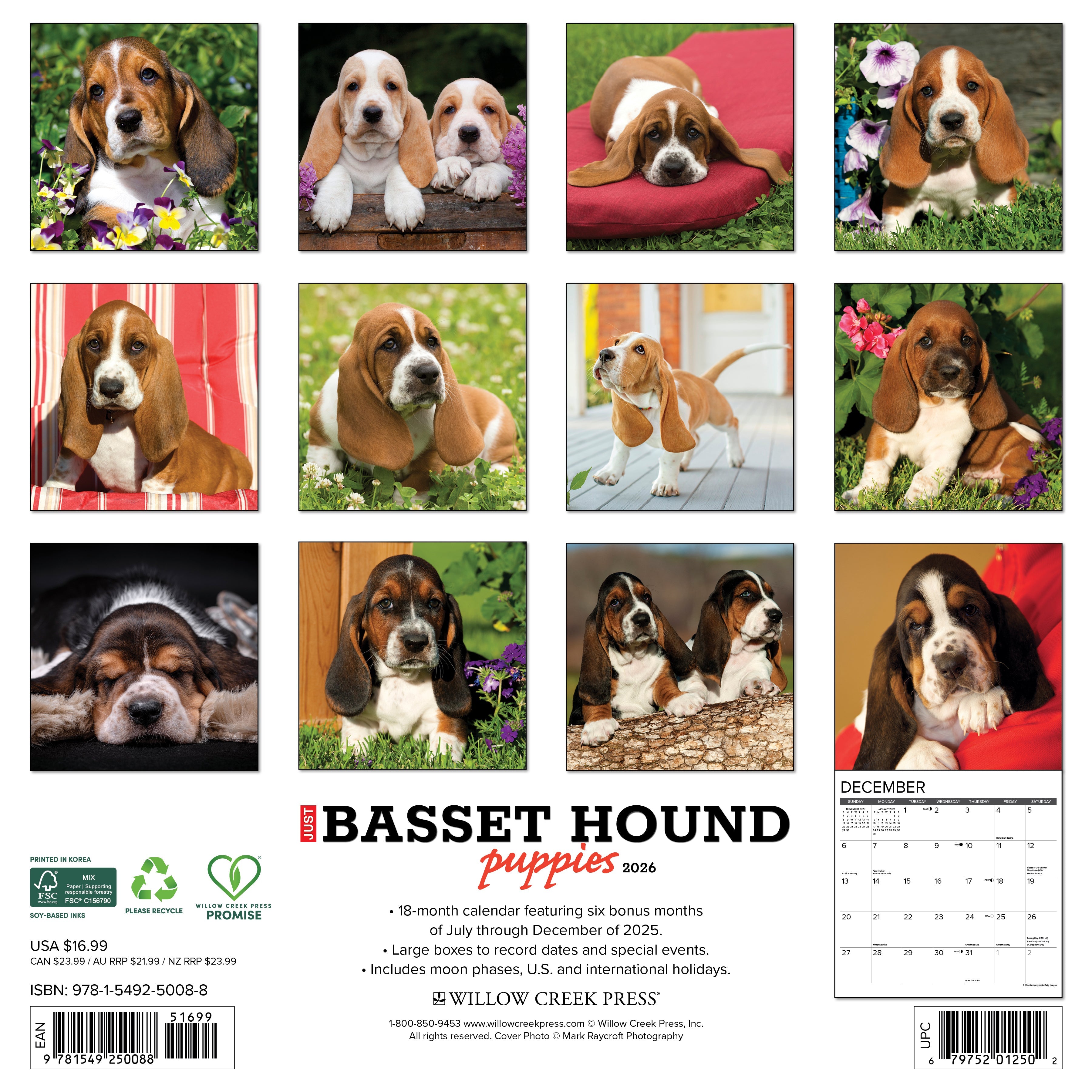 Basset Hound puppies 2026 Wall Calendar cover featuring adorable puppy images for each month.