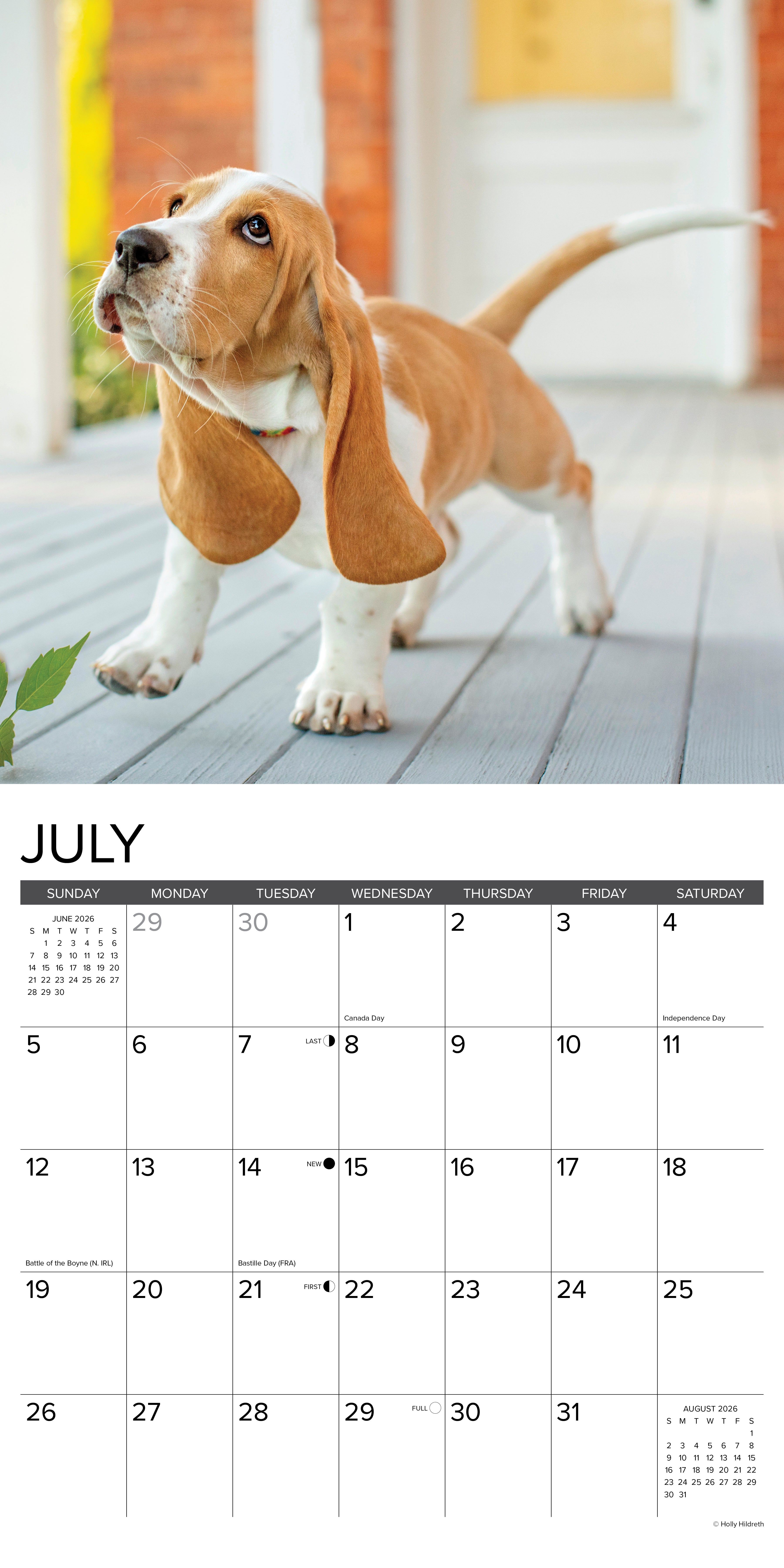 Basset Hound puppy walking on porch with 2026 Wall Calendar for July displayed below.
