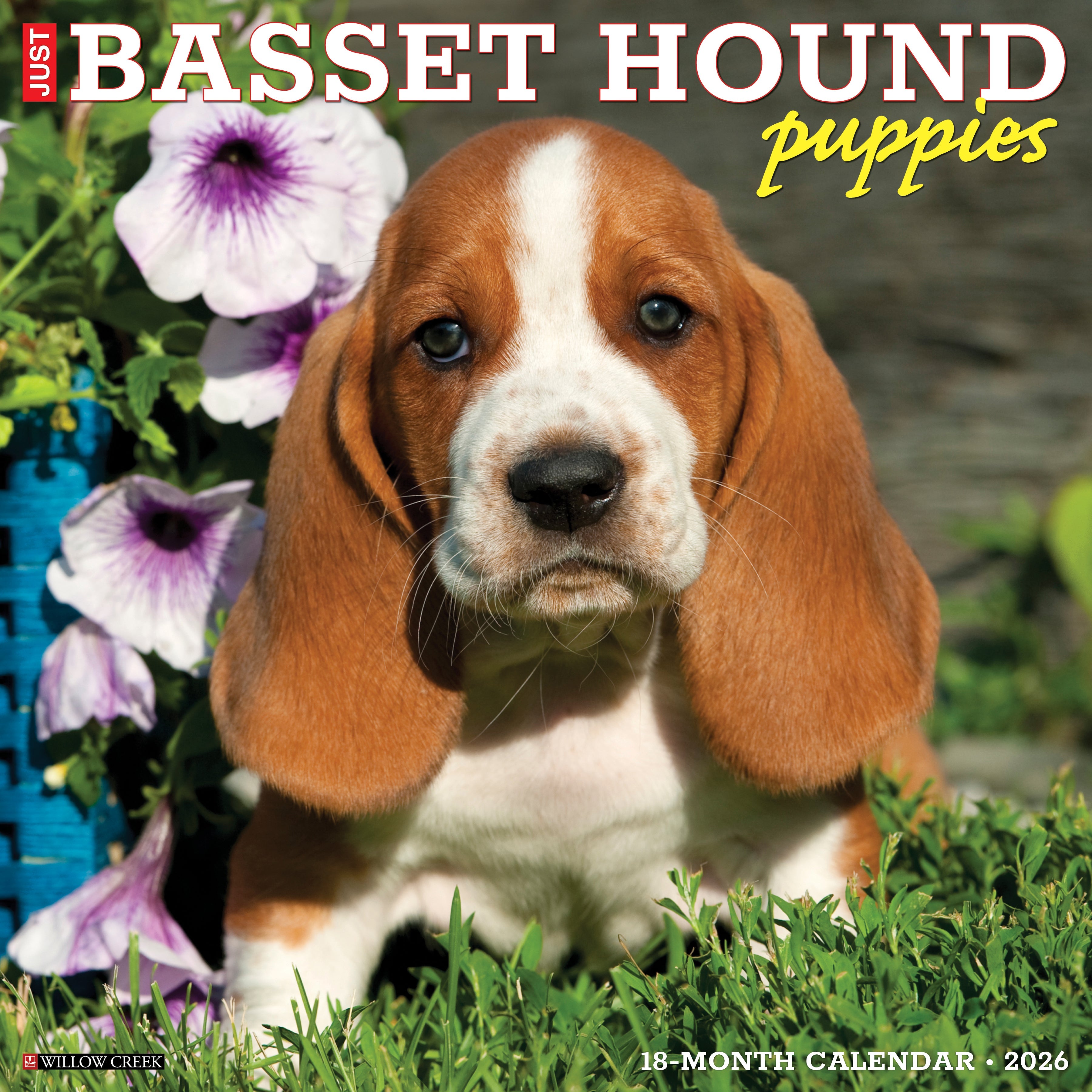 Basset Hound puppies featured on 2026 Wall Calendar cover with flowers and grass.