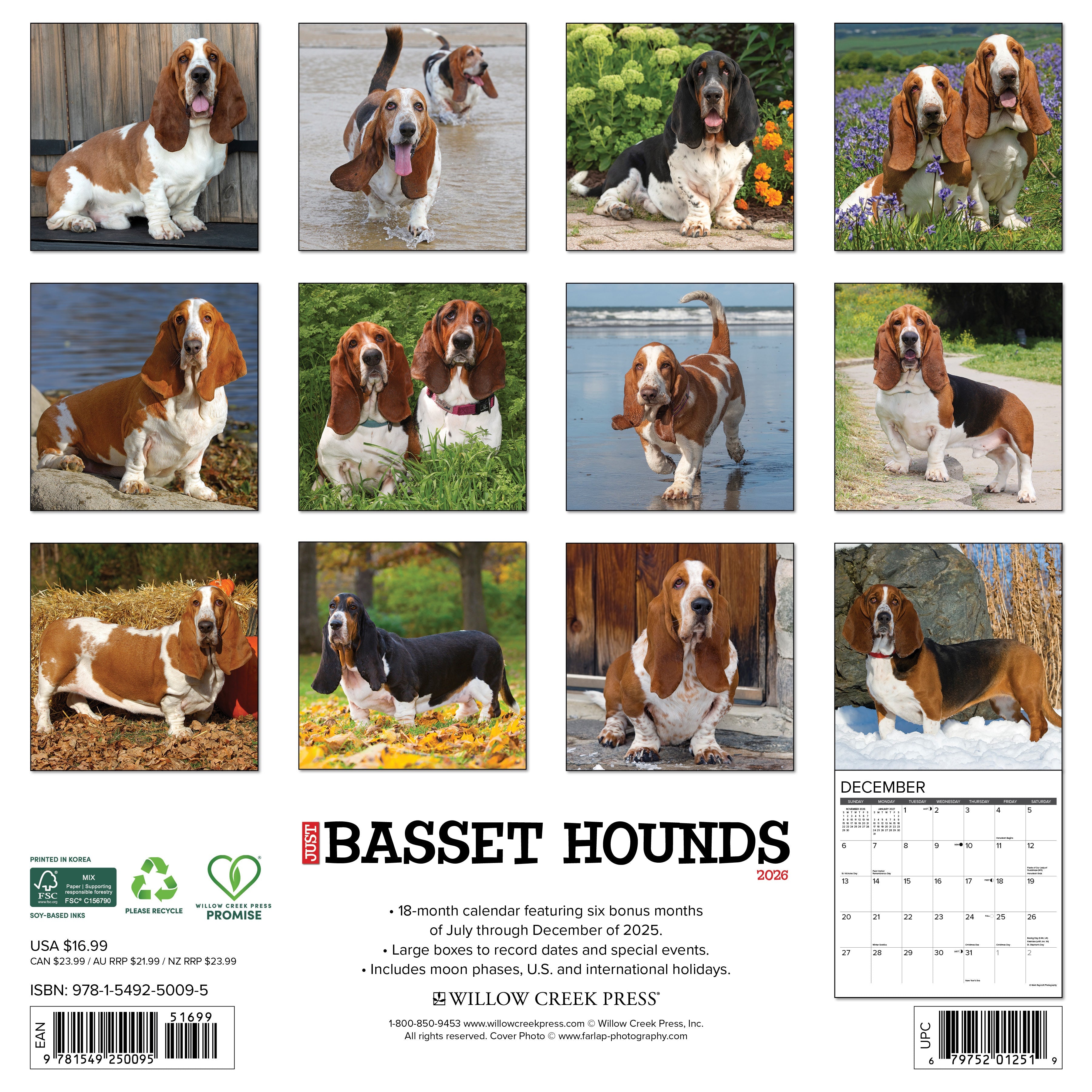 2026 Wall Calendar featuring adorable Basset Hounds in various playful poses, perfect for dog lovers and calendar enthusiasts.