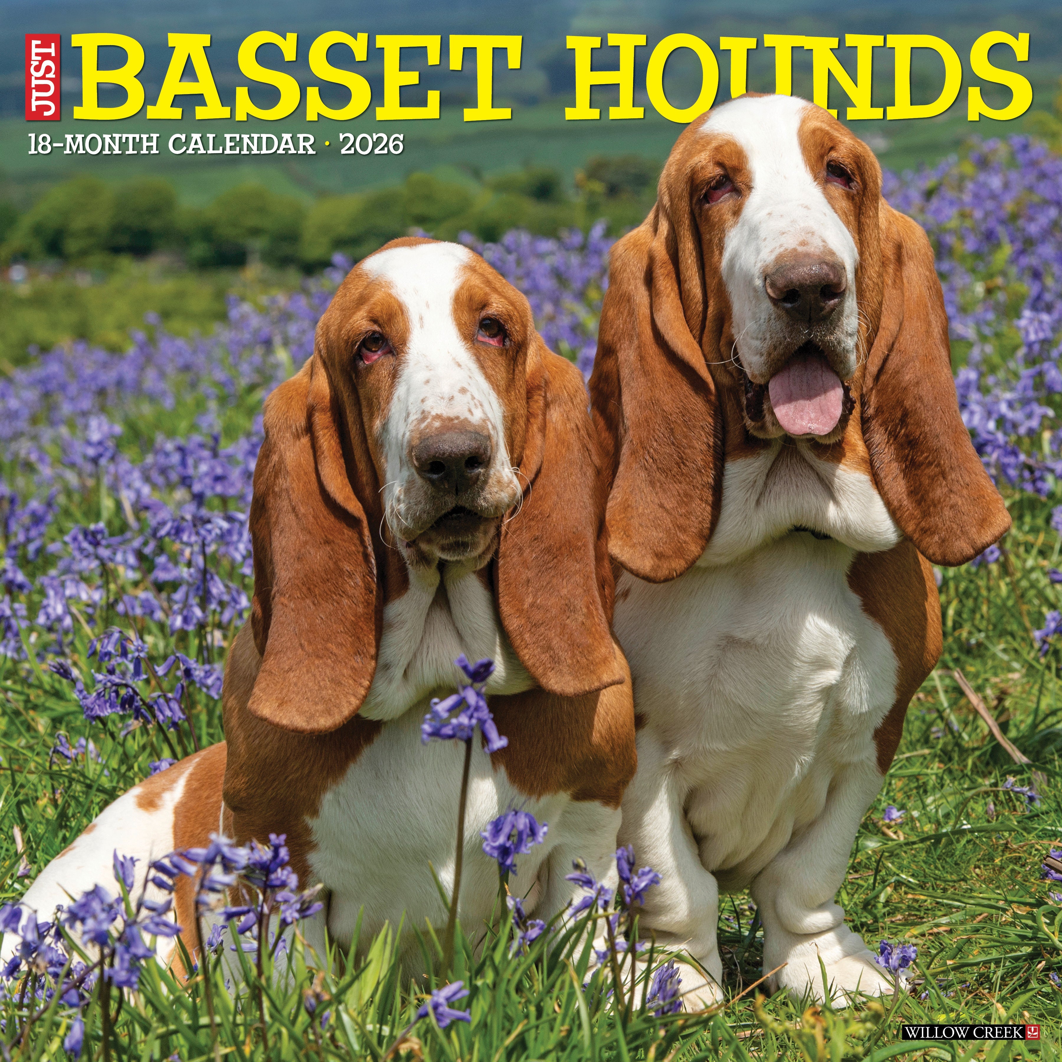 2026 Wall Calendar featuring adorable Basset Hounds in a field of flowers, showcasing their charming personalities.