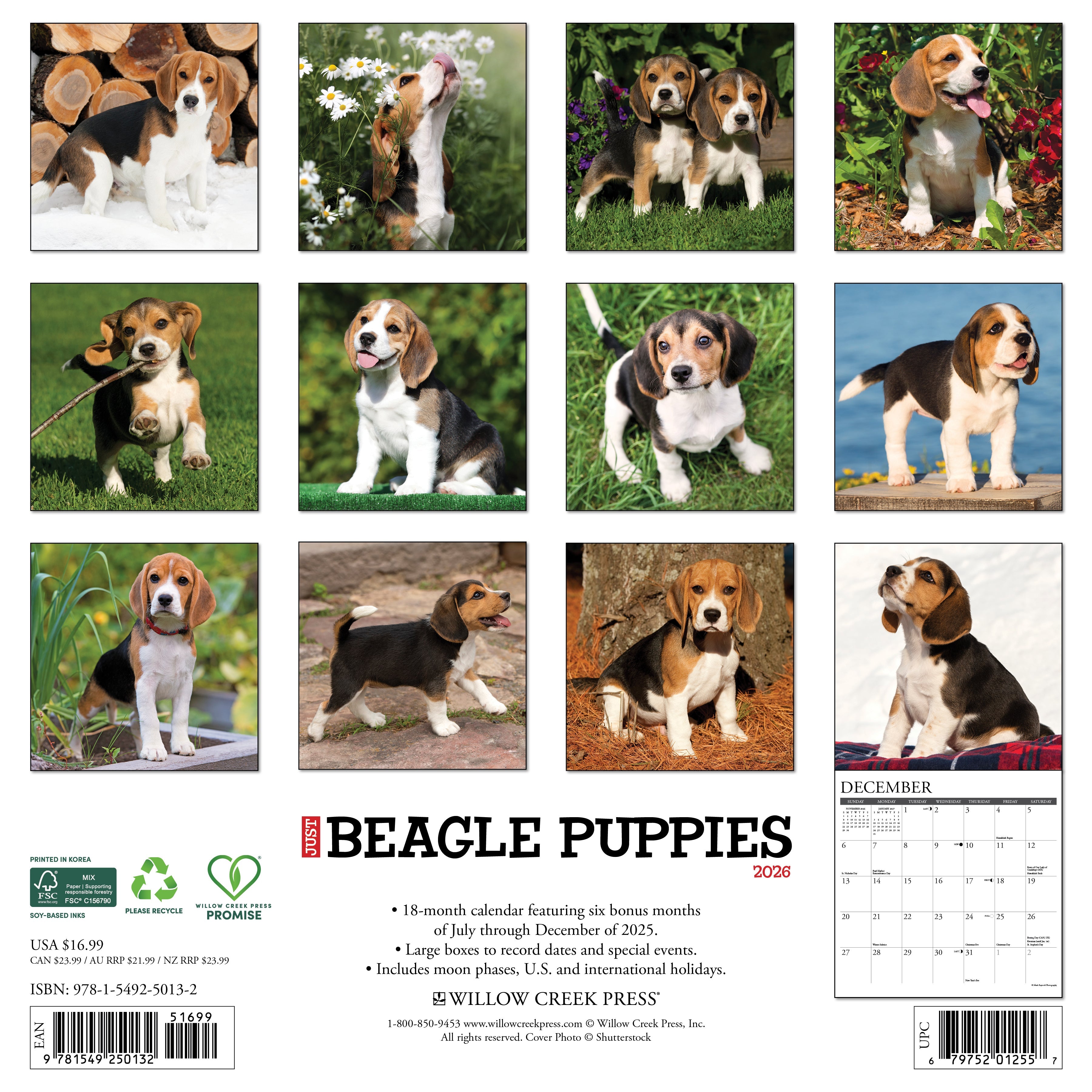 2026 Wall Calendar featuring adorable Beagle puppies in various poses and seasonal settings.