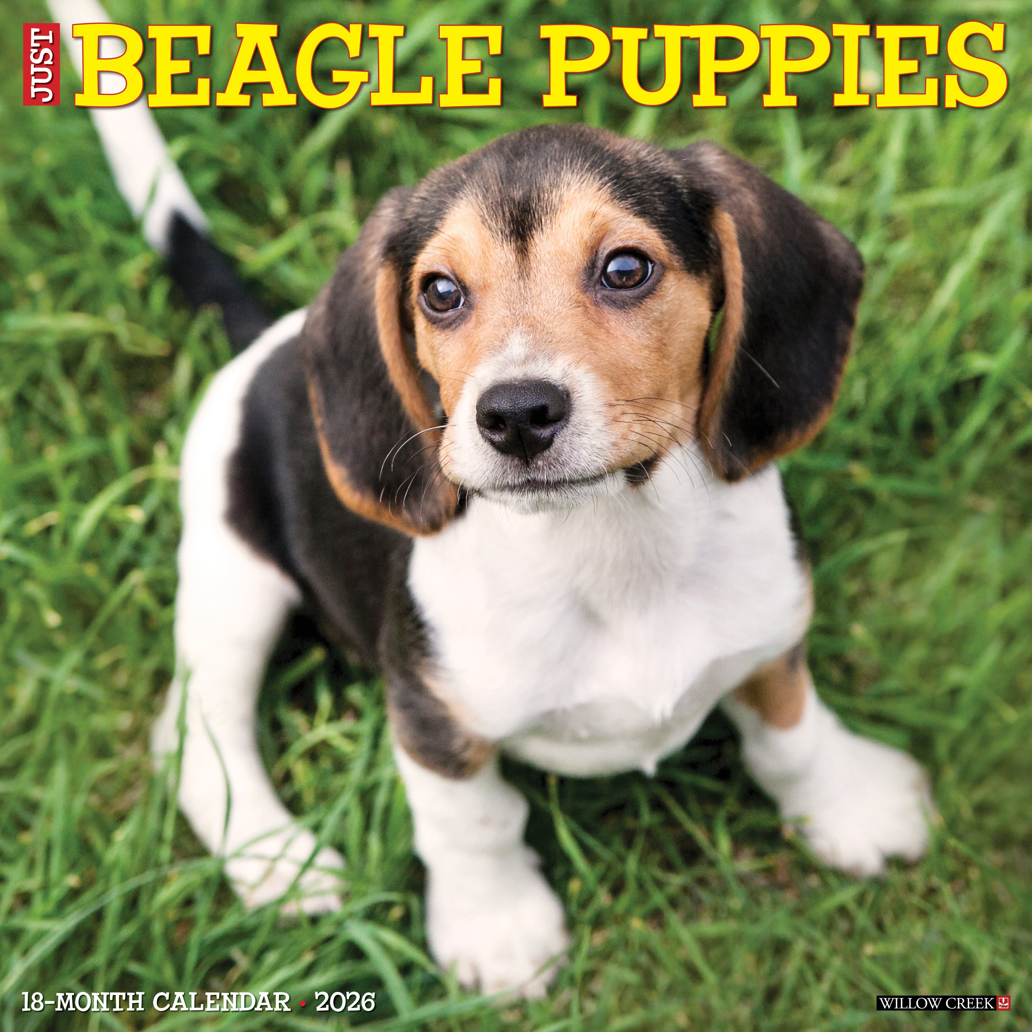 Beagle Puppies 2026 Wall Calendar cover featuring a playful Beagle puppy against a grass backdrop.