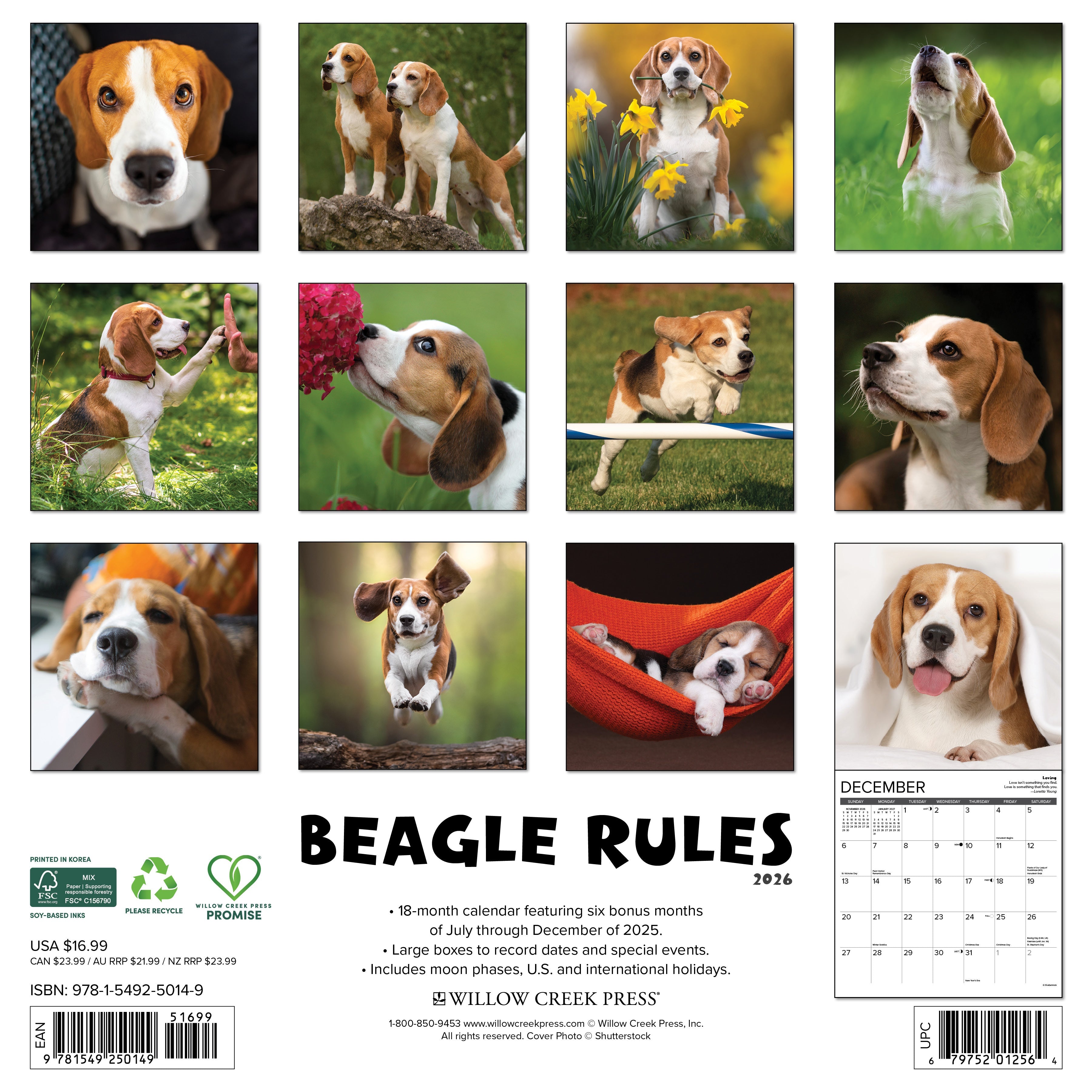 Beagle Rules 2026 Wall Calendar featuring adorable Beagle photos for each month, celebrating their playful personality.