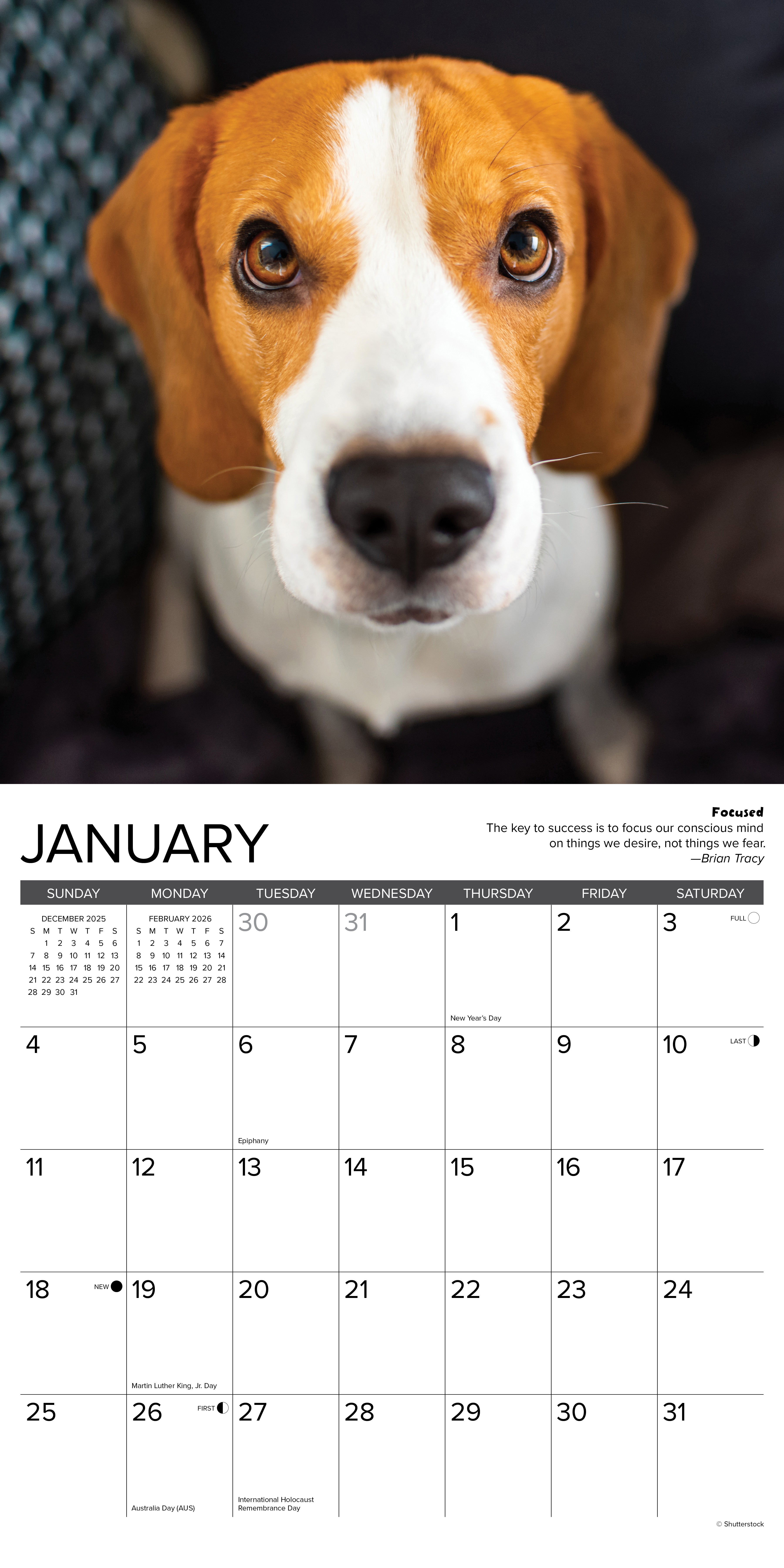 Beagle Rules 2026 Wall Calendar image featuring a Beagle for January with a charming expression.