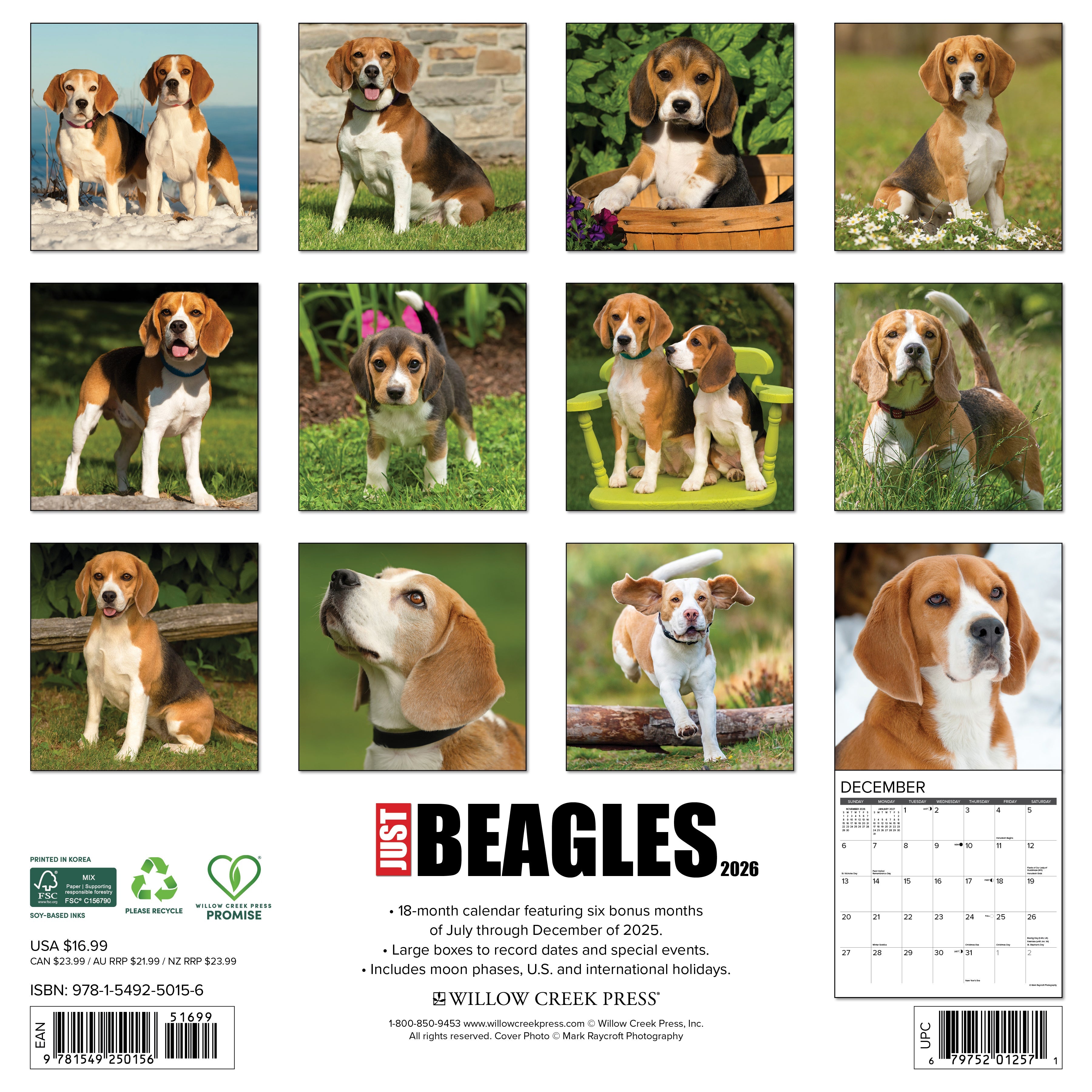 2026 Wall Calendar featuring adorable Beagle dogs in various poses and settings for each month.