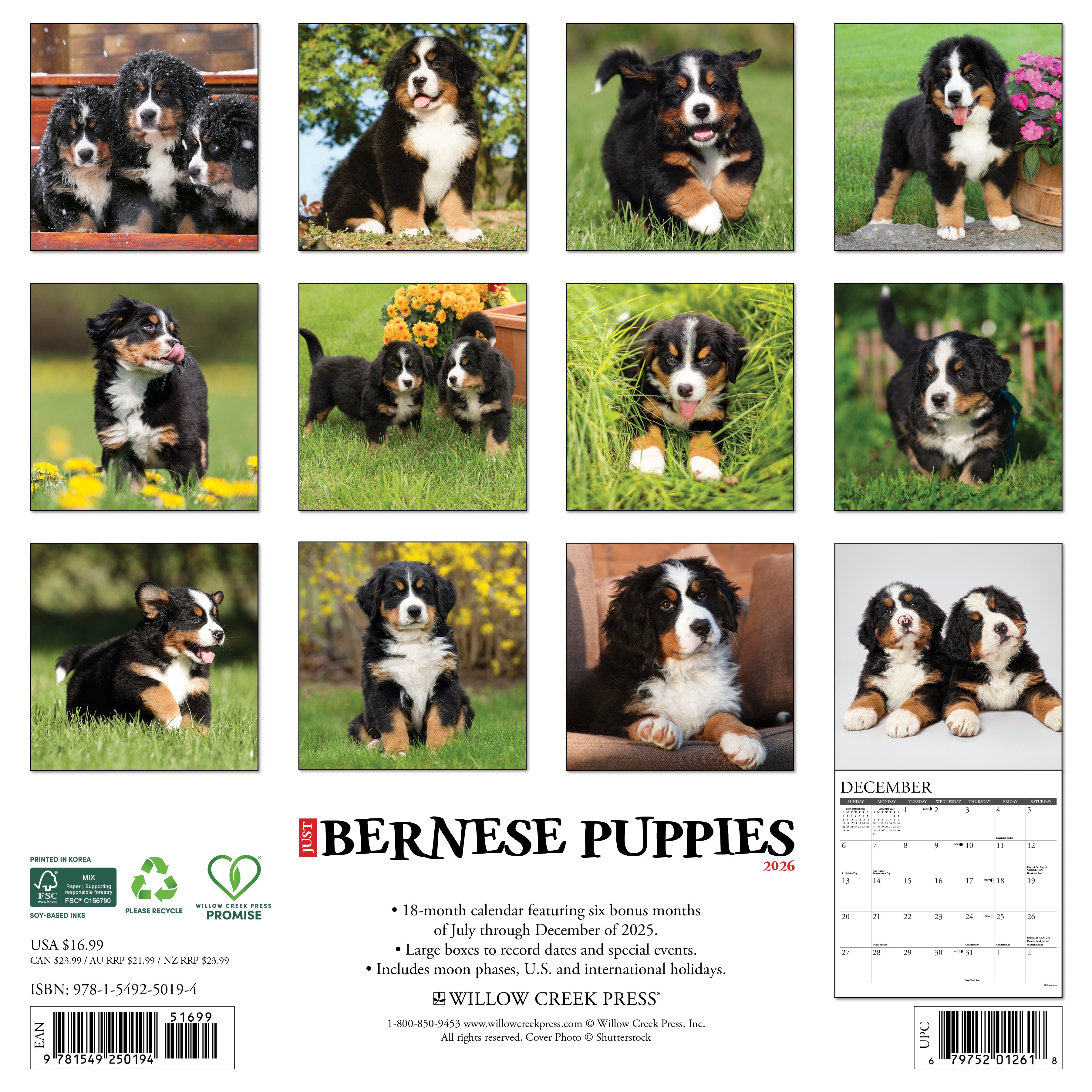 2026 Wall Calendar featuring adorable Bernese Mountain Puppies along with their monthly photos.
